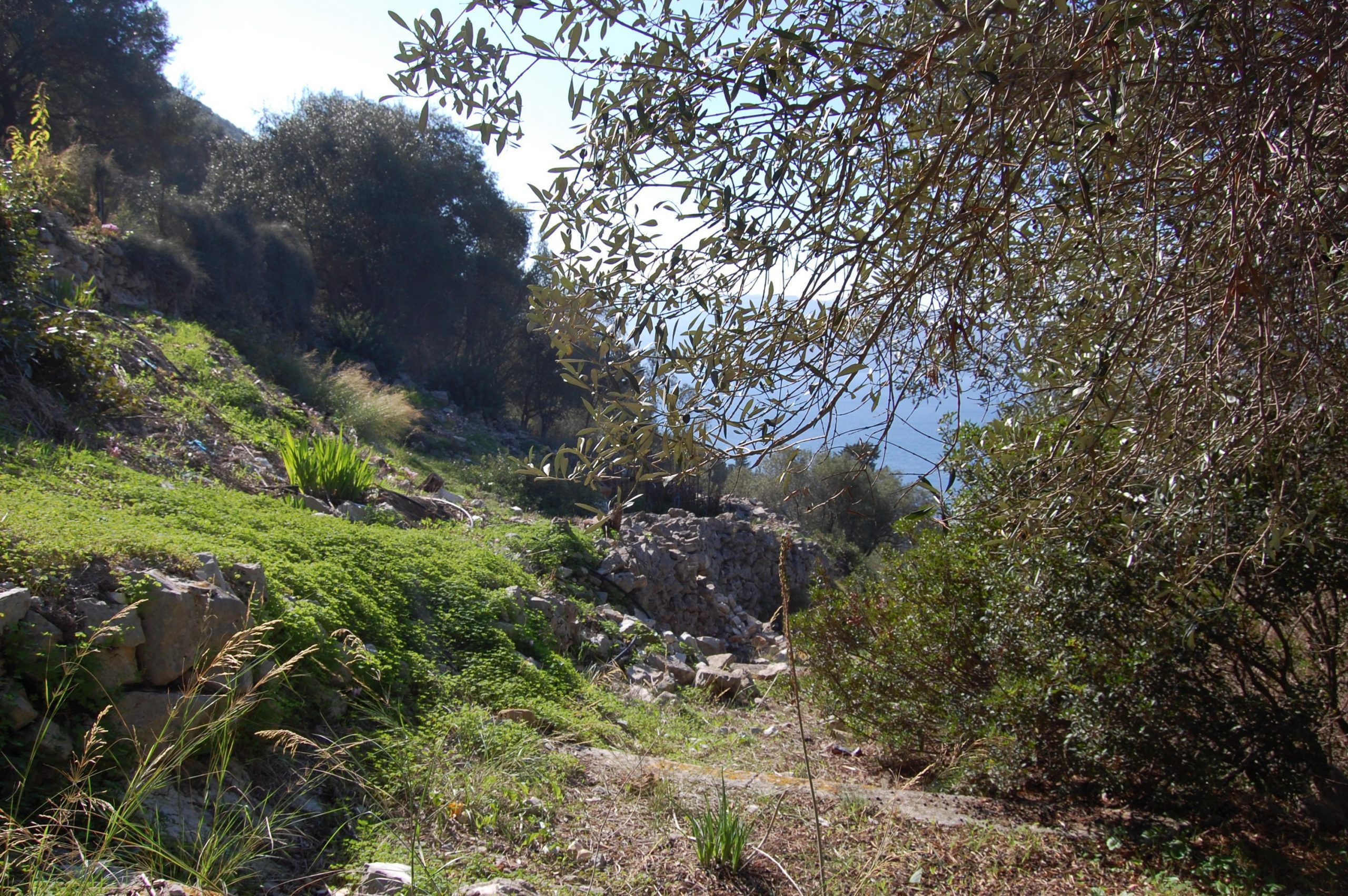Τοπίο και έδαφος γης προς πώληση στην Ιθάκη Ελλάδα