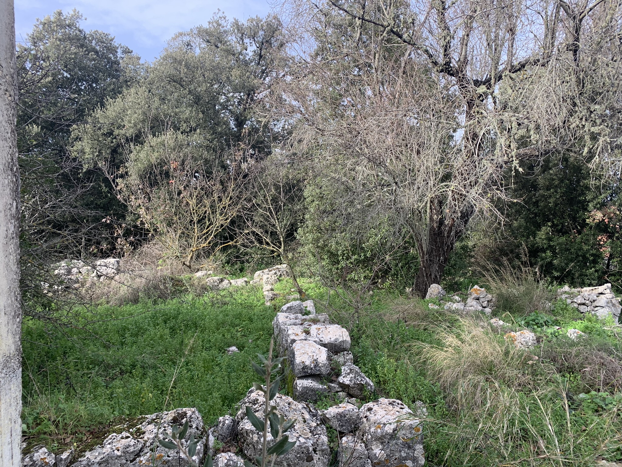 Exterior view of land with house for sale on Ithaca Greece, Anoghi