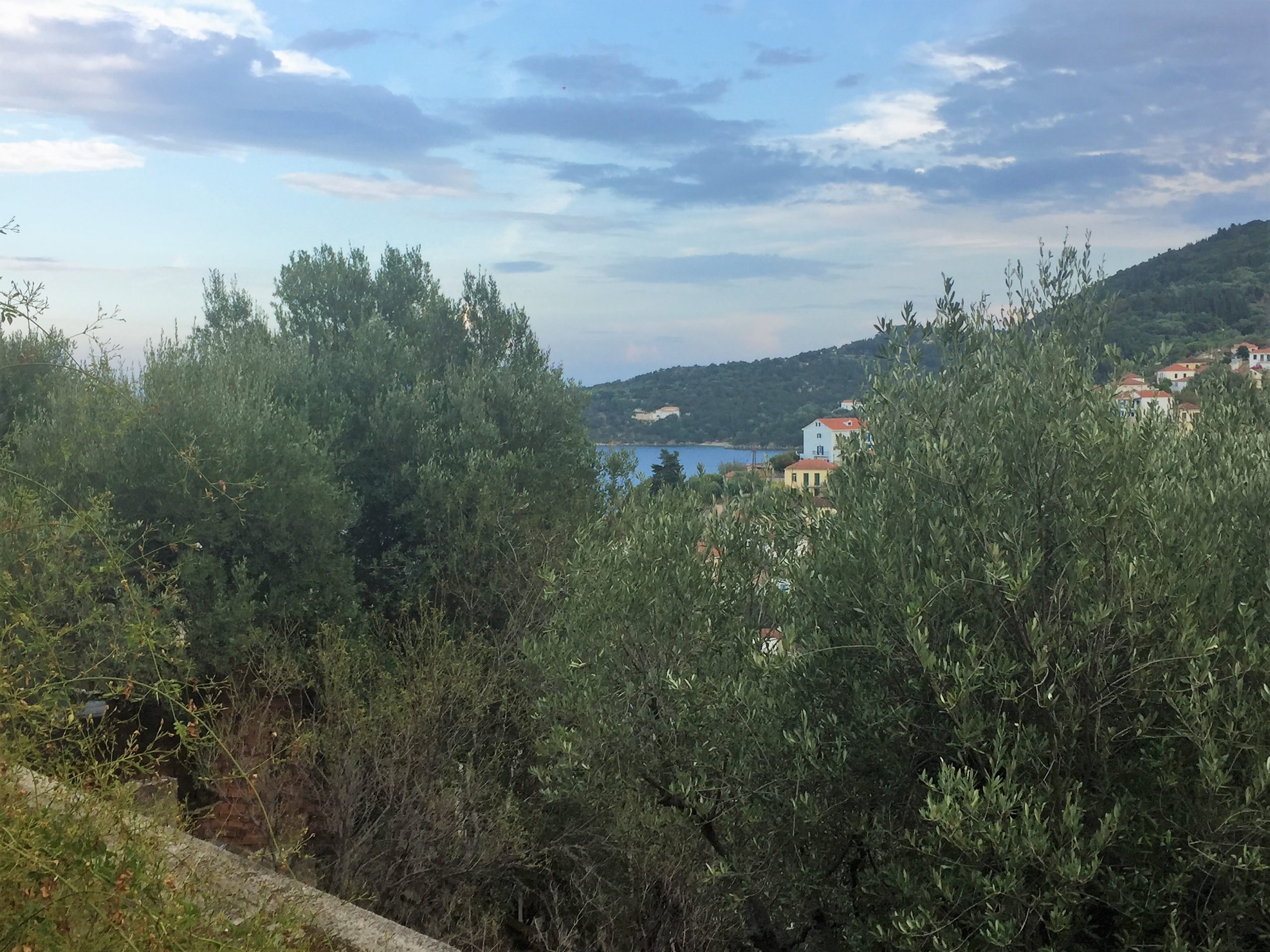 View from house for sale in Ithaca Greece, Kioni