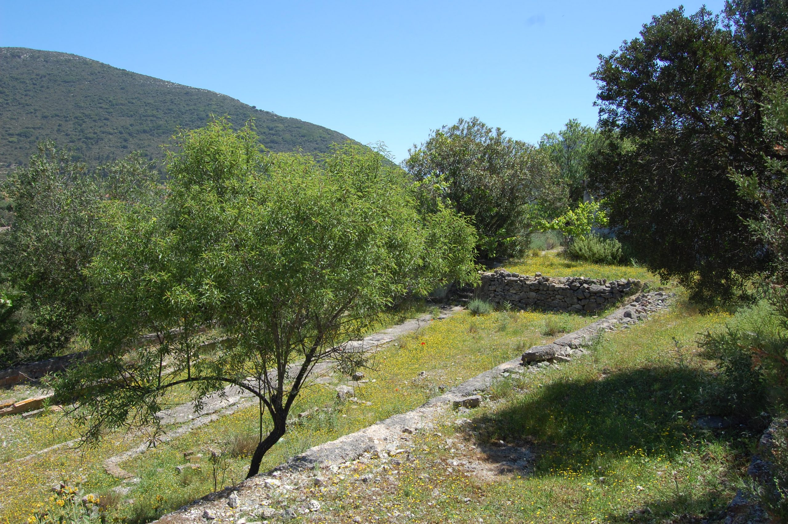 Landscape of house for sale in Ithaca Greece, Pilikata