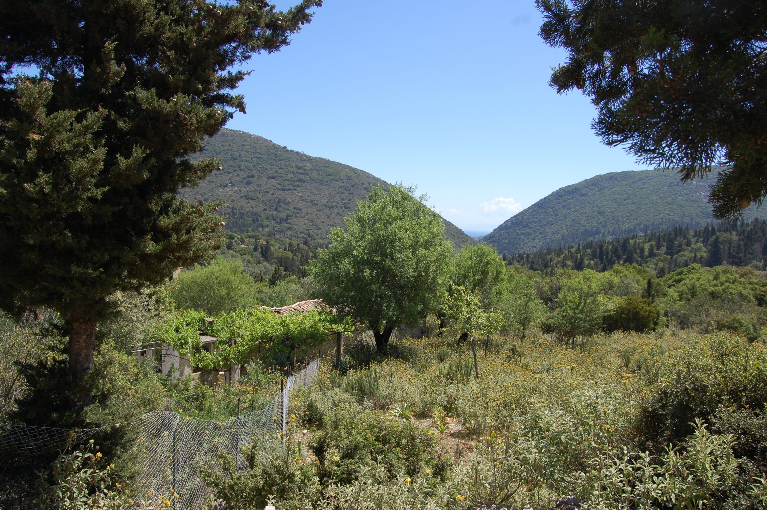 Landscape and view from house for sale in Ithaca Greece, Pilikata