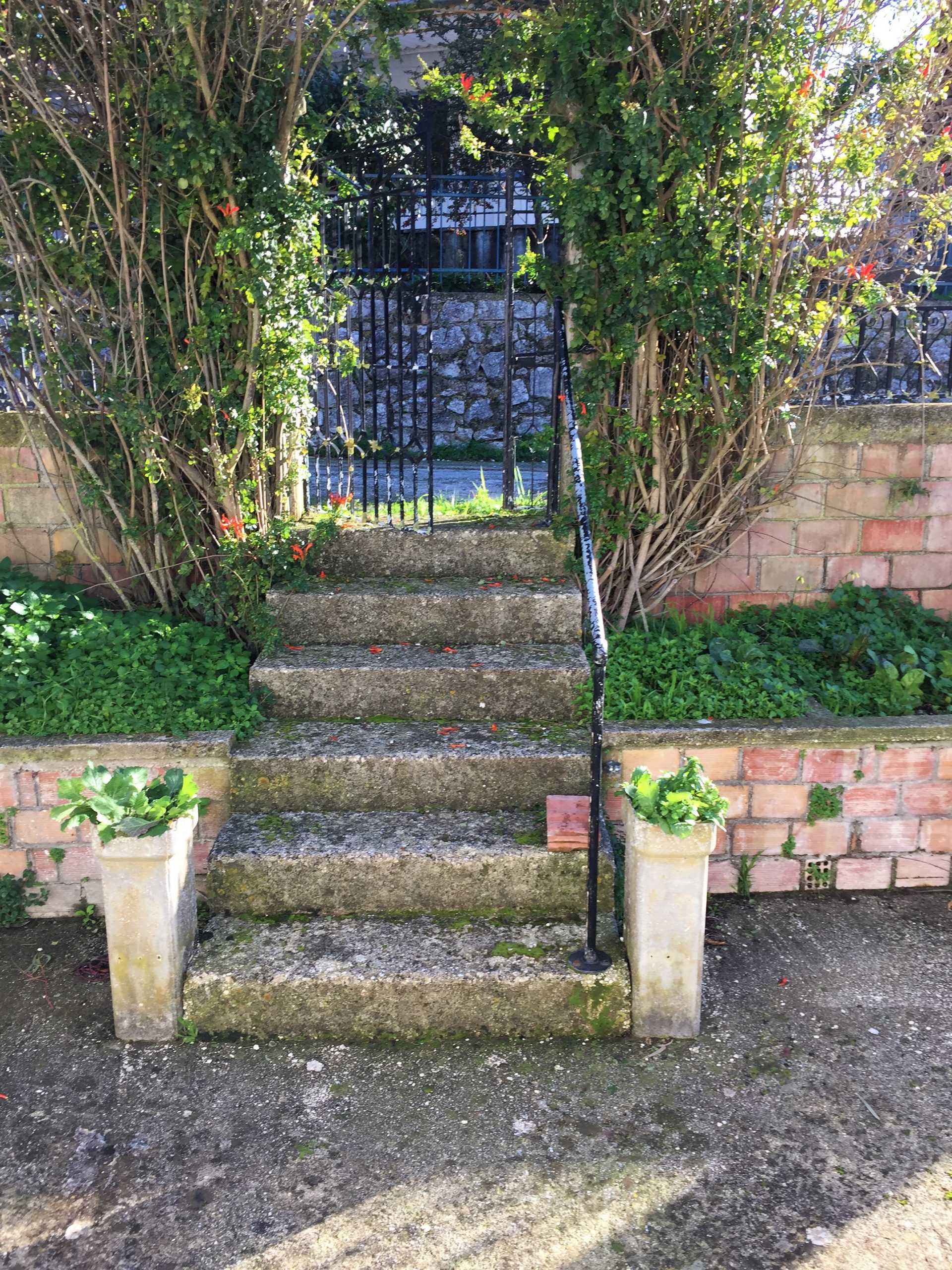 Entrance of house for sale in Ithaca Greece, Exoghi