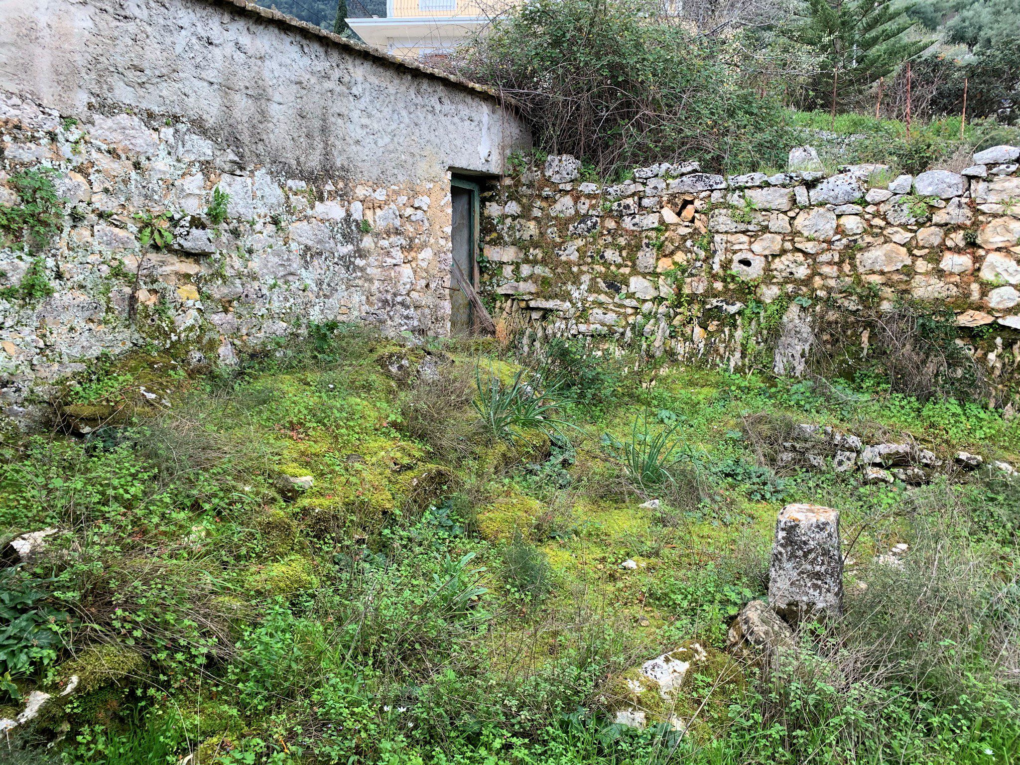 Landscape / garden of house for sale in Ithaca Greece, Perachori