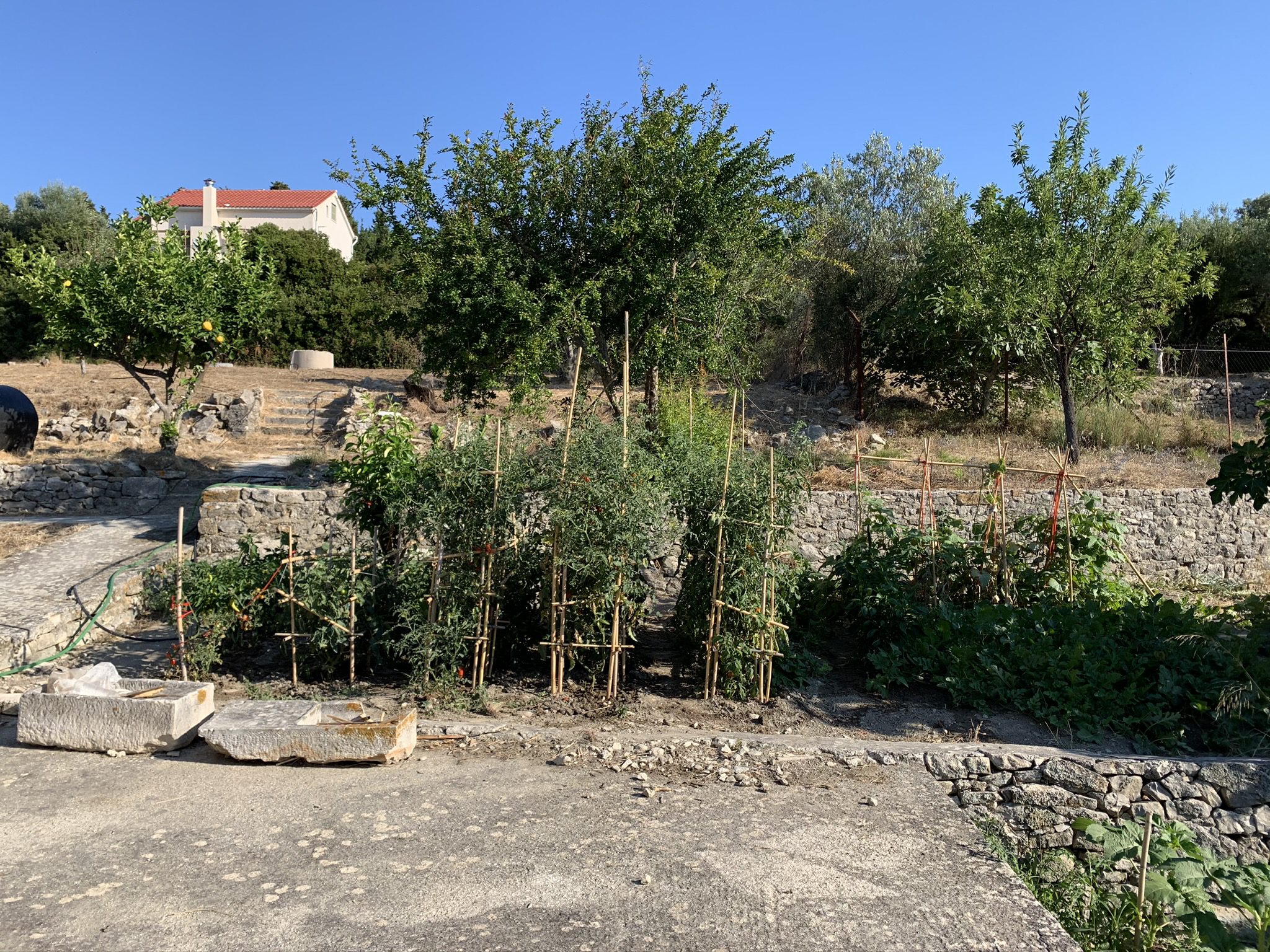 Garden of house for sale in Ithaca Greece Platrithya