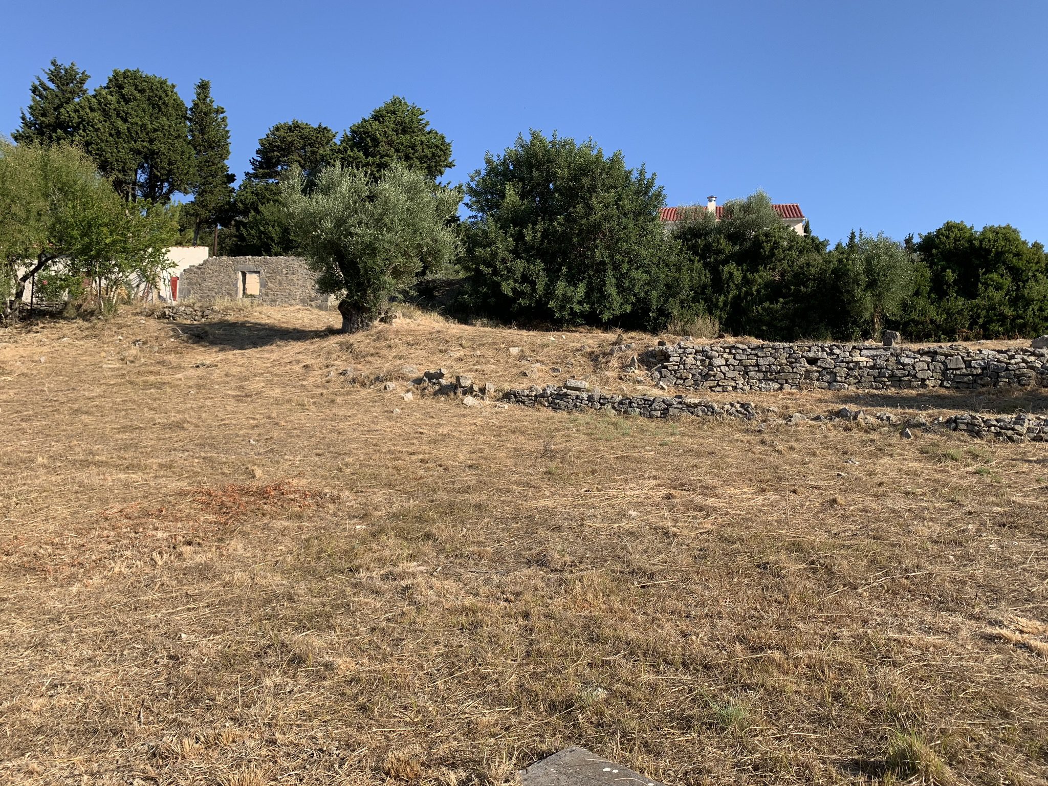 Landscape terrain of house for sale in Ithaca Greece Platrithya