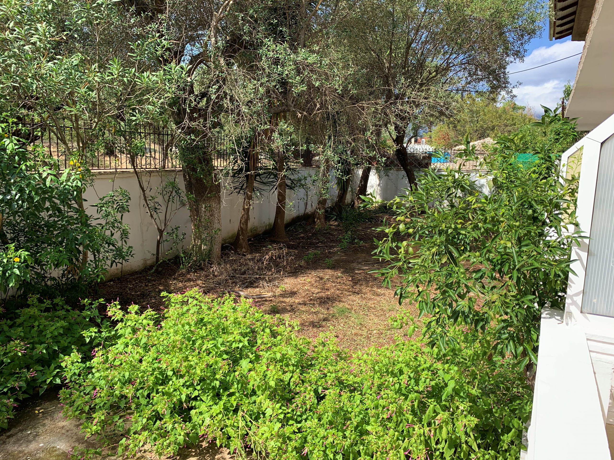 Garden of apartment complex for sale Ithaca Greece, Vathi
