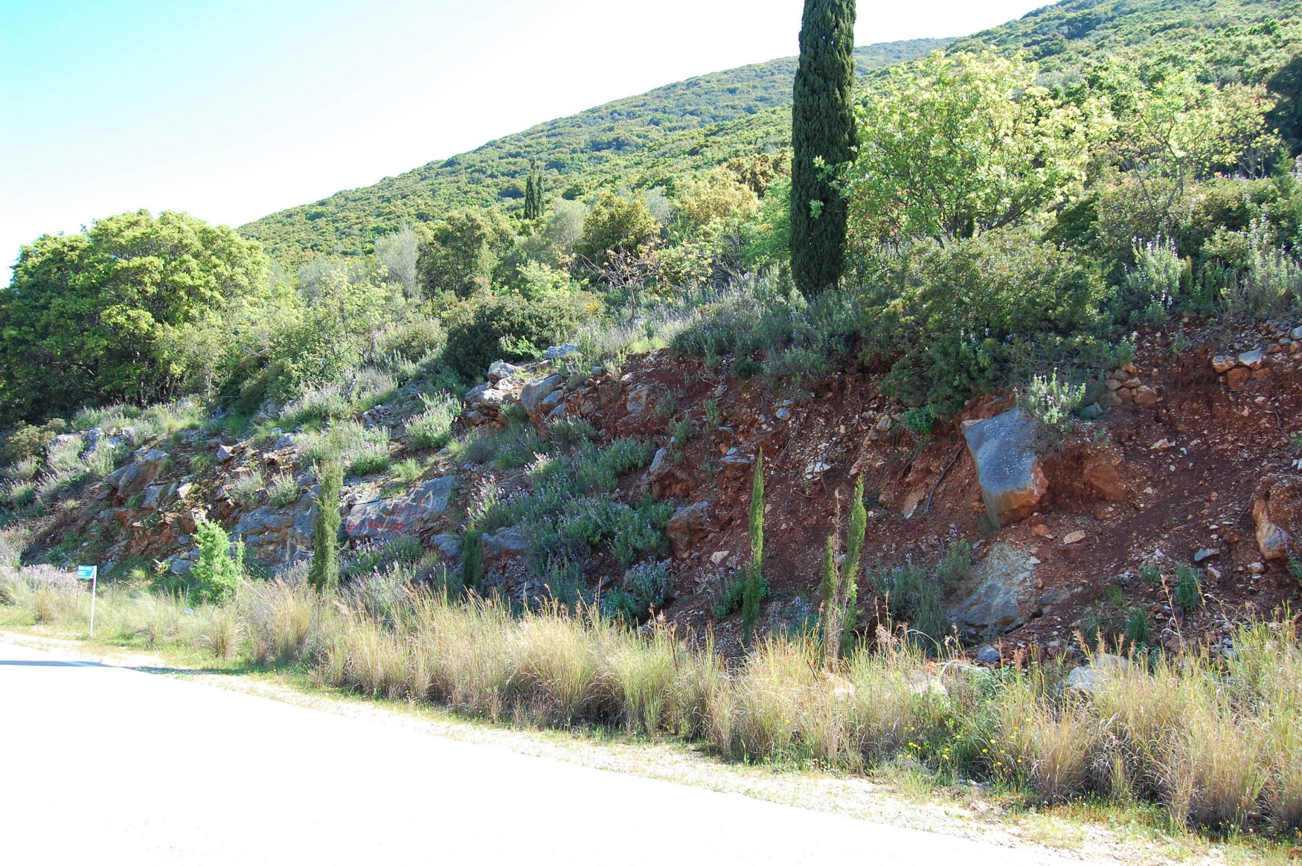 Landscape of land for sale Ithaca Greece Piso Aetos