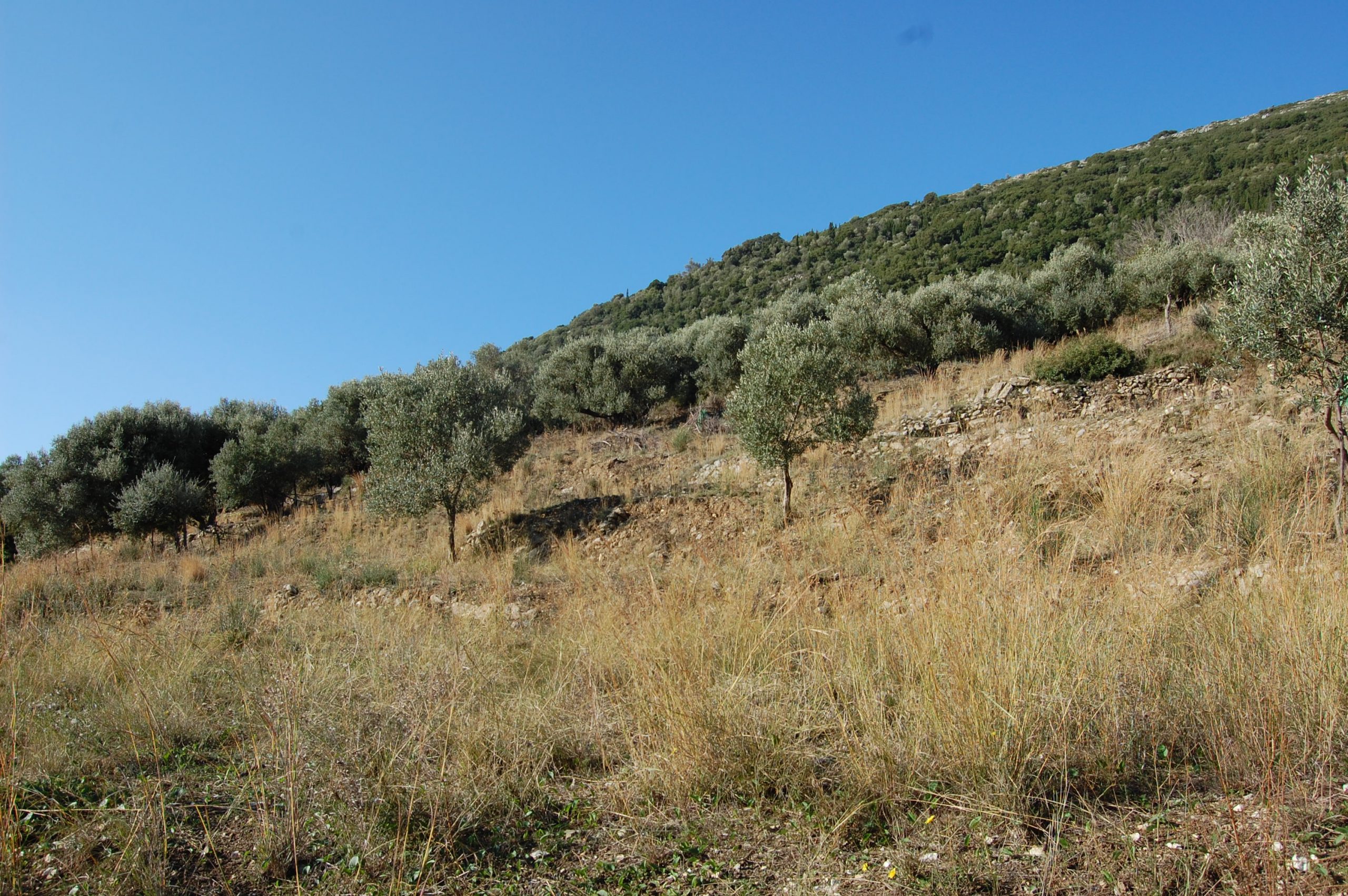 Landscape and terrain of land for sale on Ithaca Greece