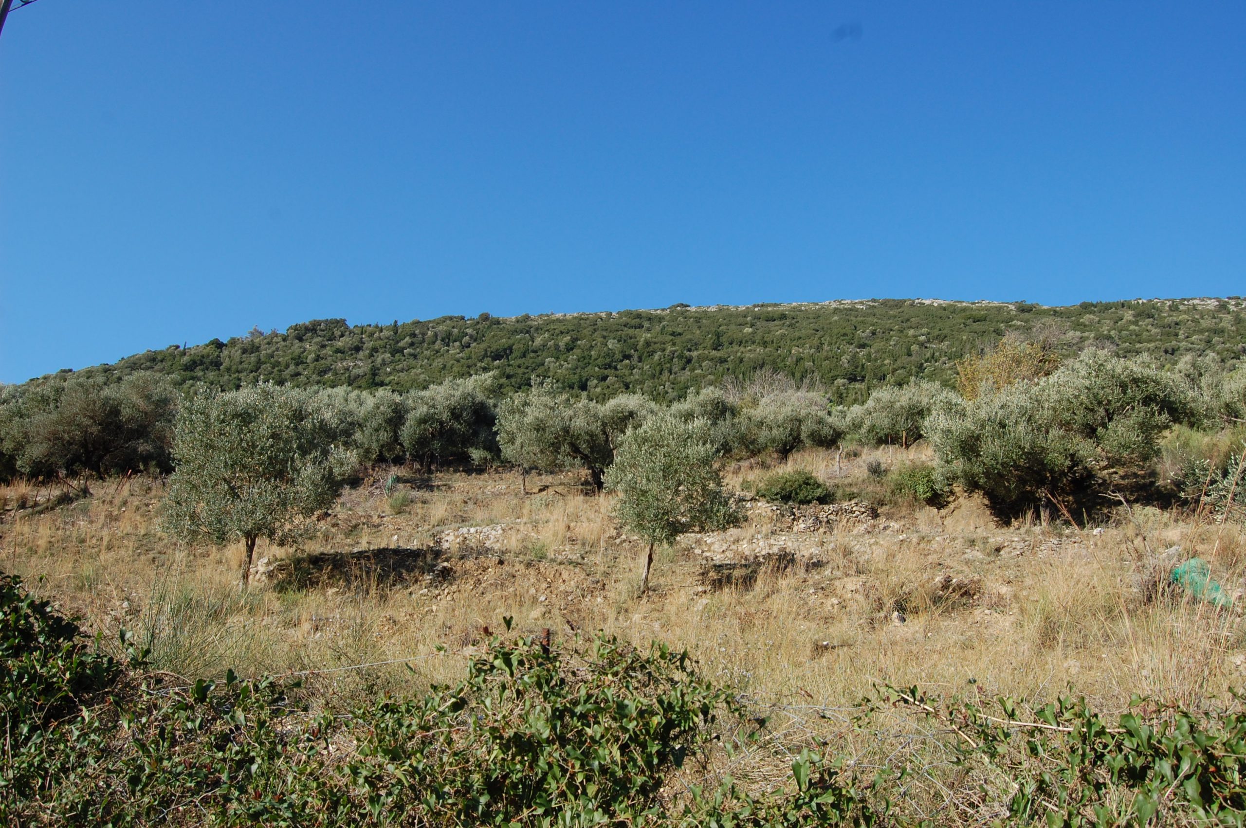 Landscape and terrain of land for sale on Ithaca Greece