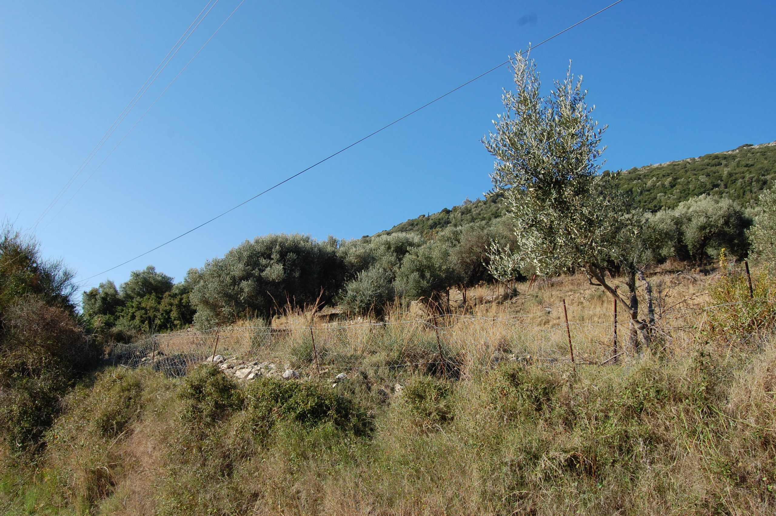 Landscape and terrain of land for sale on Ithaca Greece