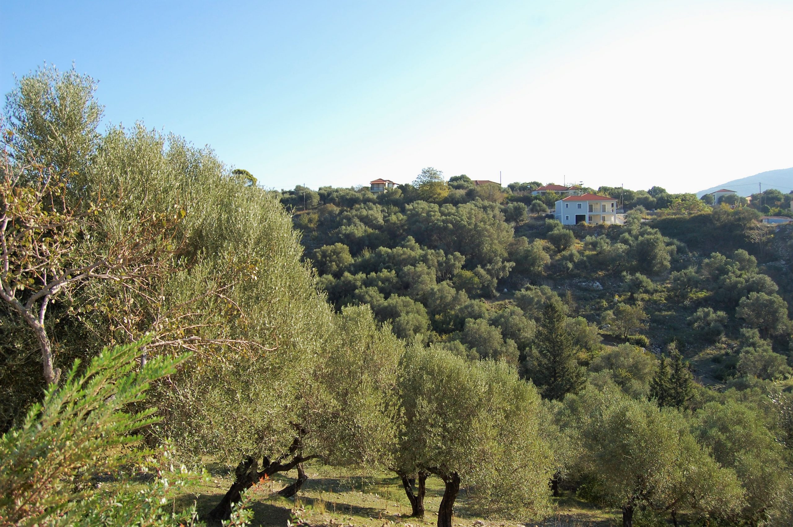 Landscape and terrain of land for sale on Ithaca Greece