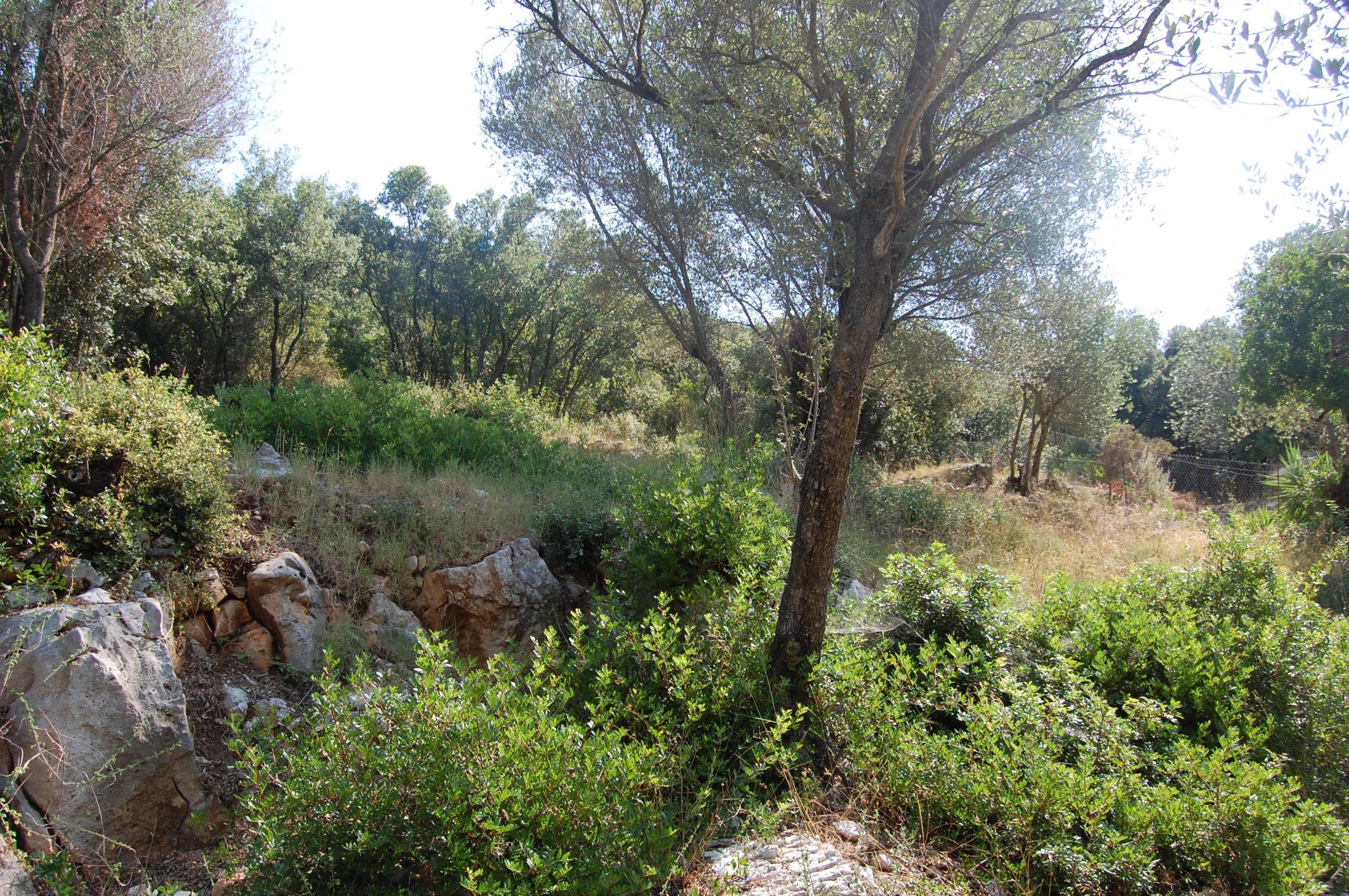 Landscape and terrain of land for sale in Ithaca Greece Frikes