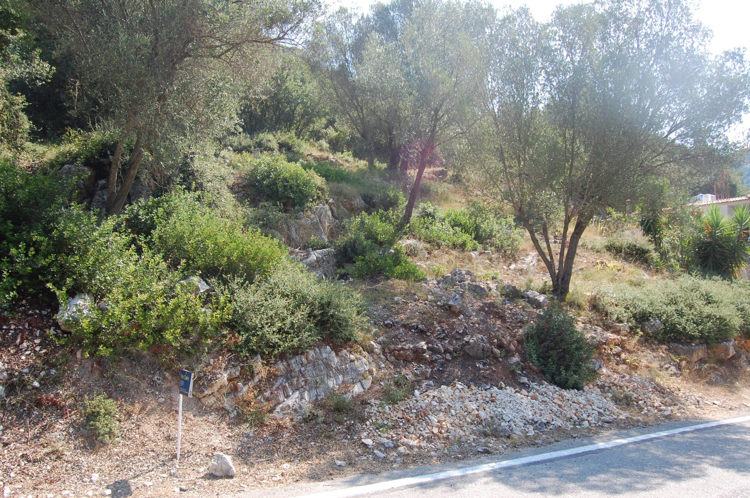 Landscape and terrain of land for sale in Ithaca Greece Frikes