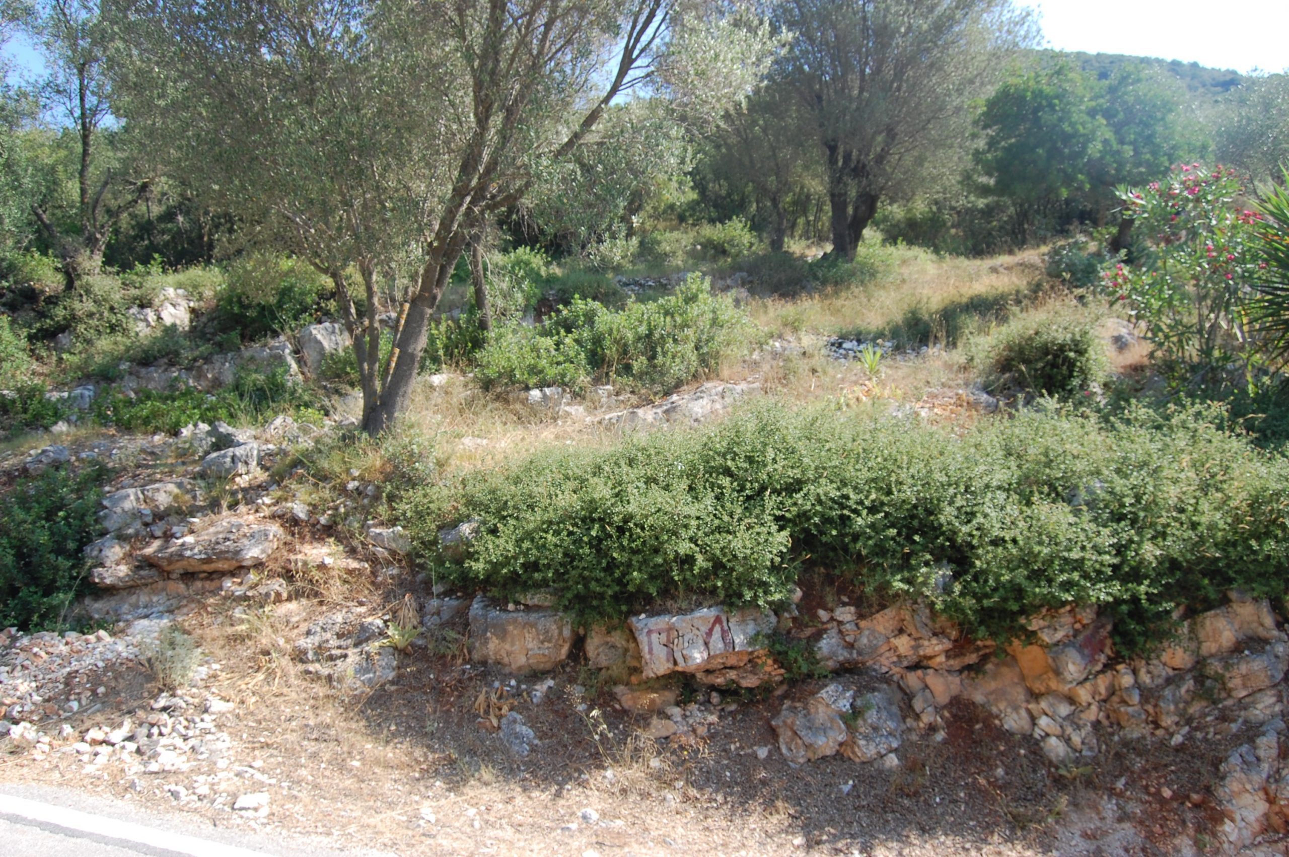 Landscape and terrain of land for sale in Ithaca Greece Frikes