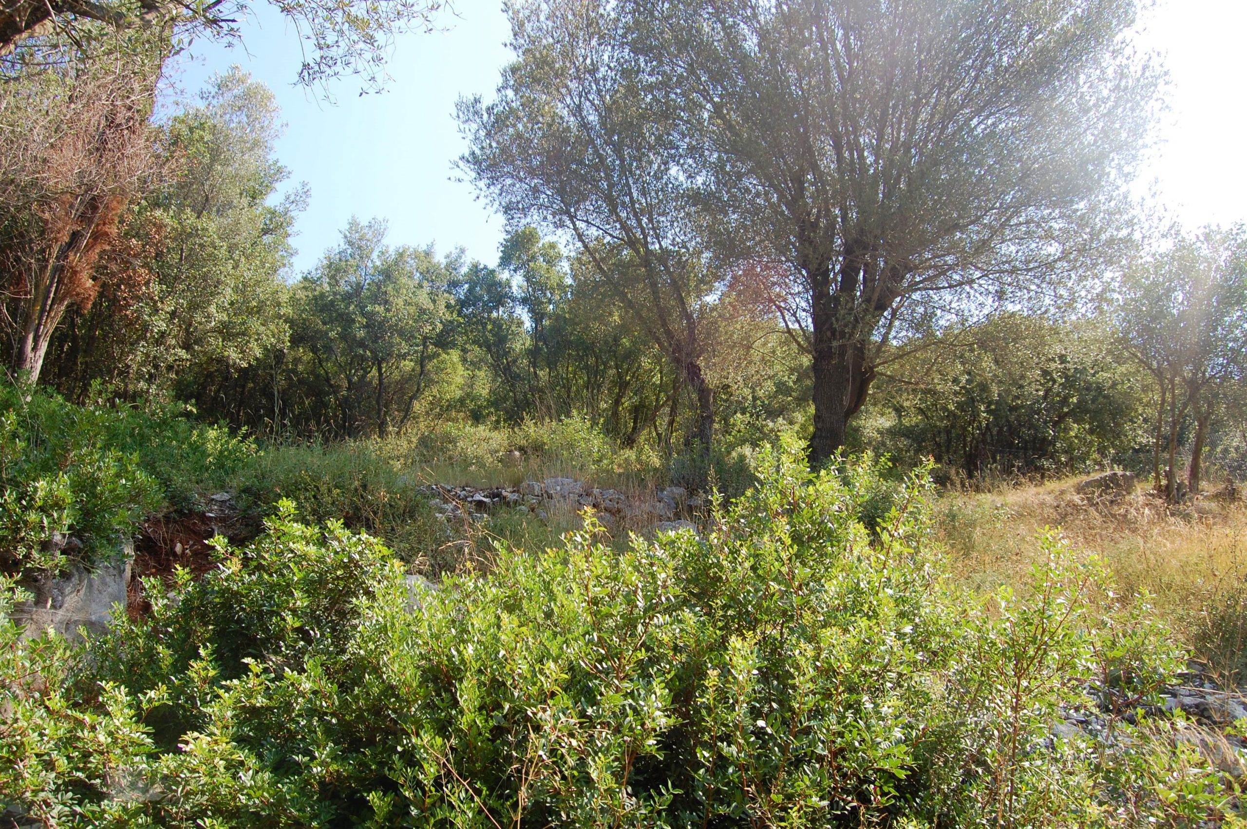 Landscape and terrain of land for sale in Ithaca Greece Frikes