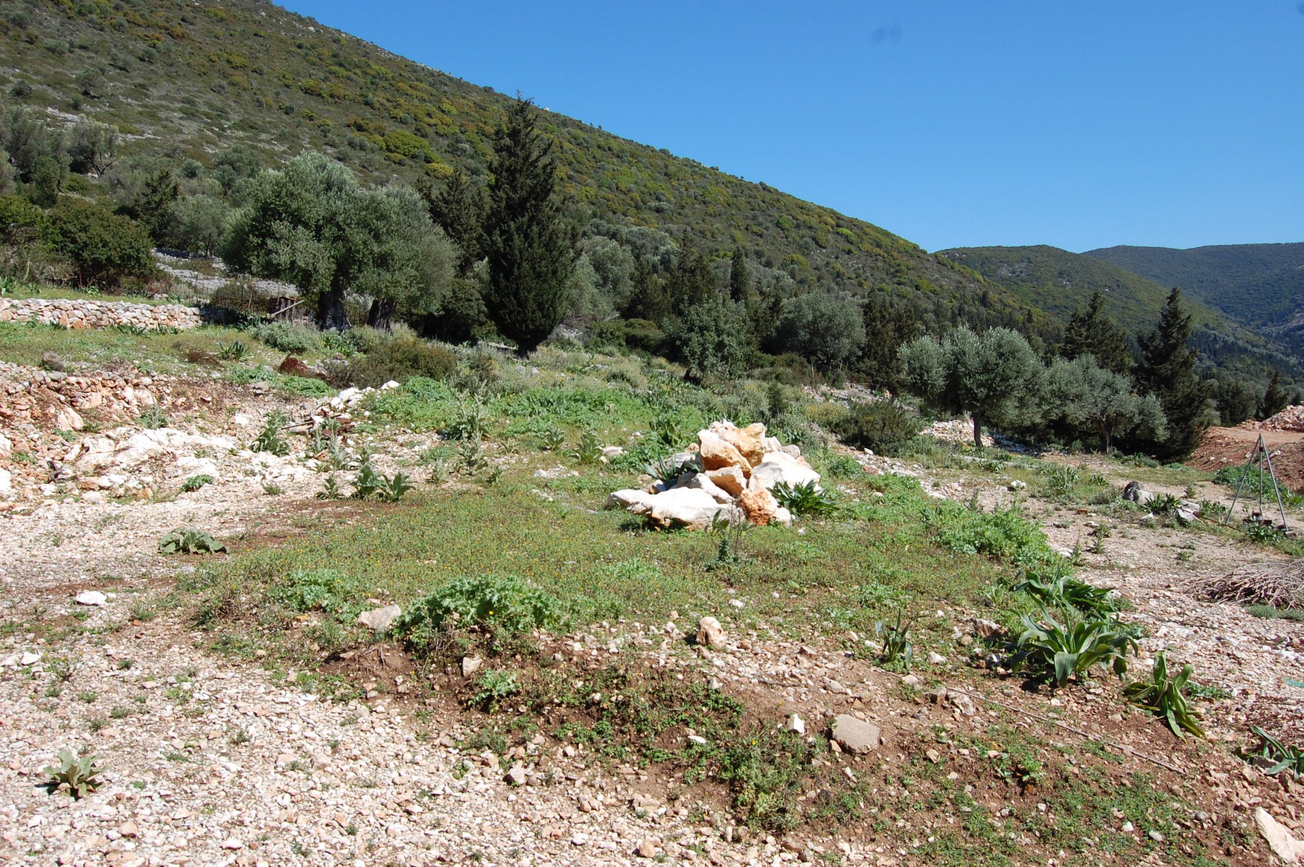 Exterior view of land for sale in Ithaca Greece, Magoulas