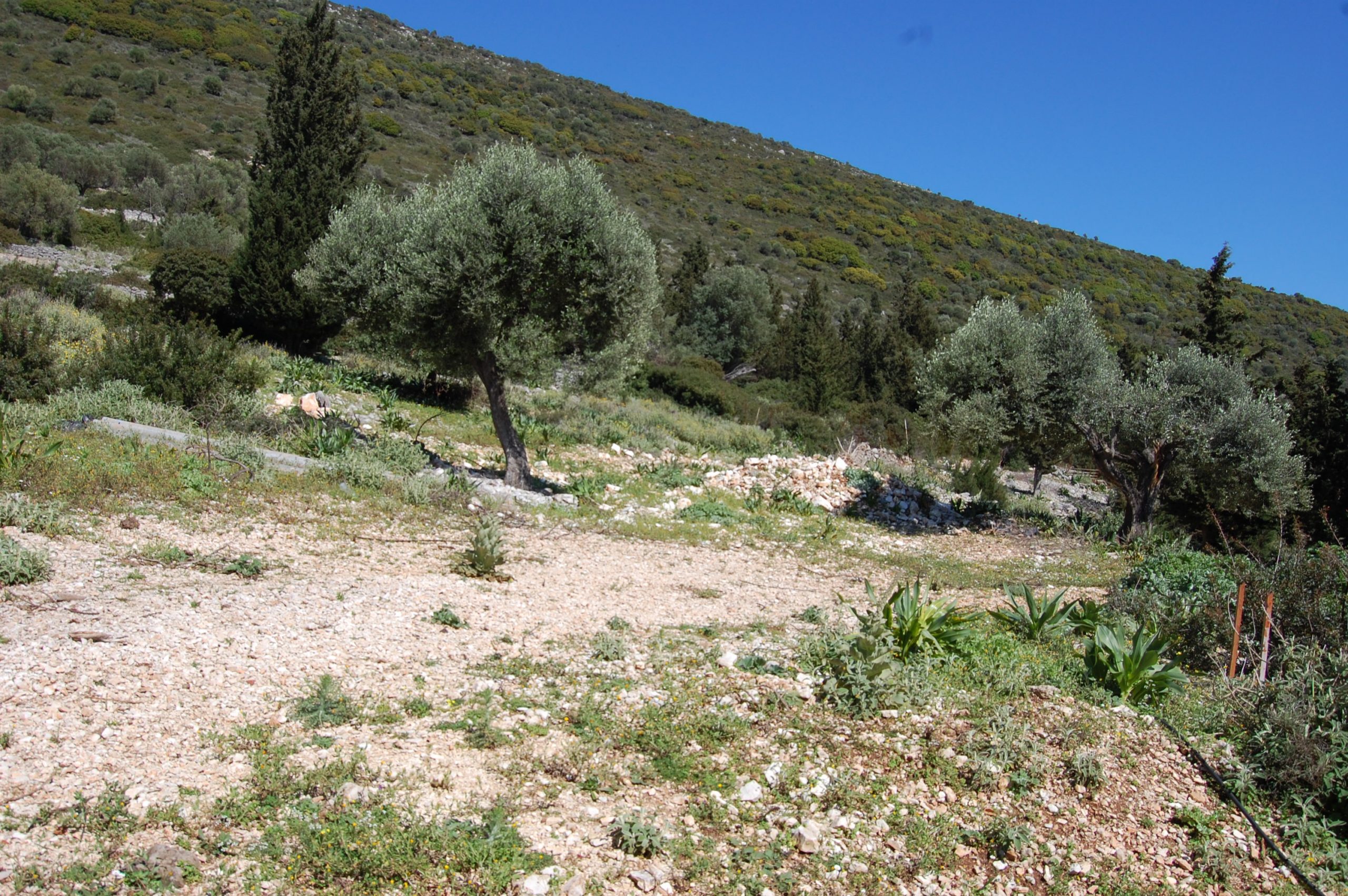 Exterior view of land for sale in Ithaca Greece, Magoulas