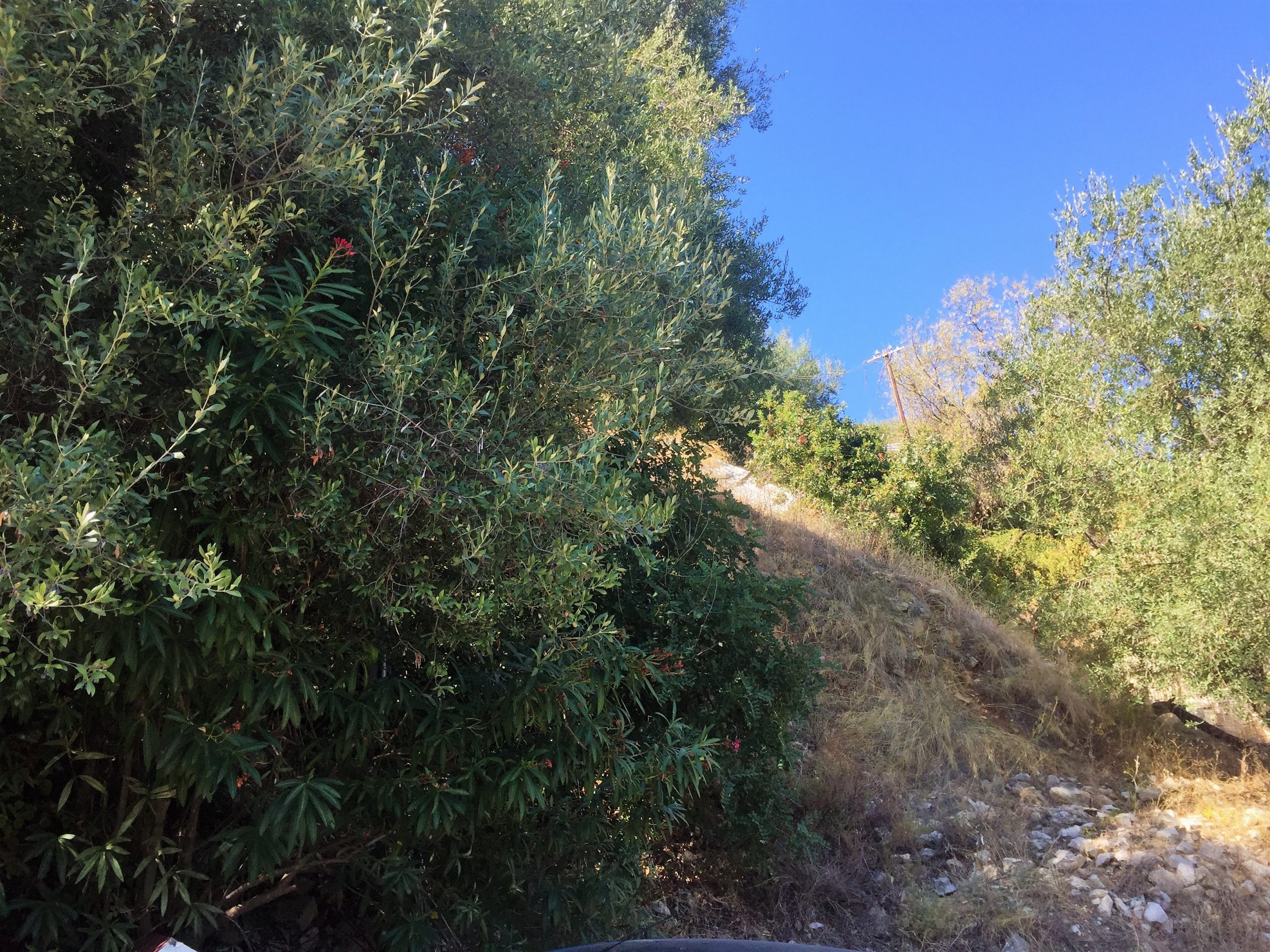 Landscape and terrain of land for sale on Ithaca Greece in Kioni