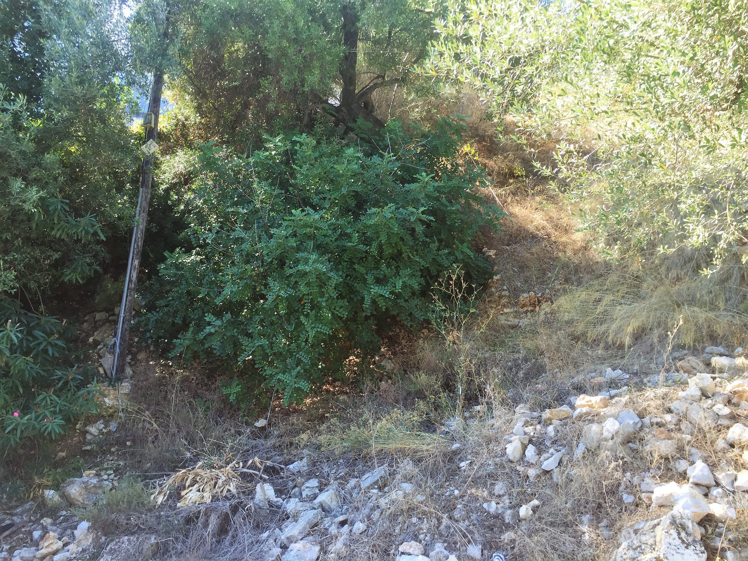 Landscape and terrain of land for sale on Ithaca Greece in Kioni