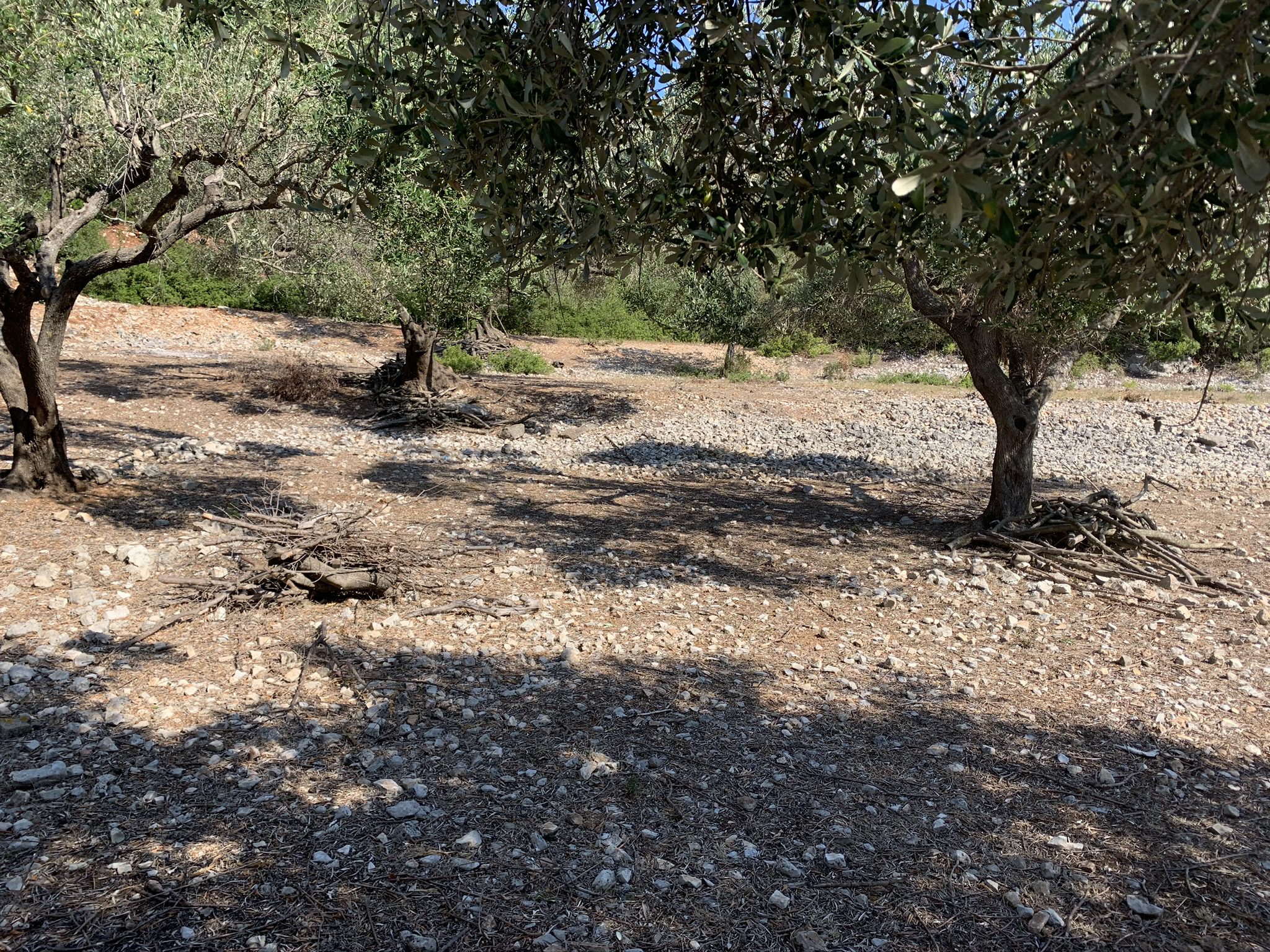 Τοπίο και έδαφος γης προς πώληση στην Ιθάκη Ελλάδα στον Μαρμάκα