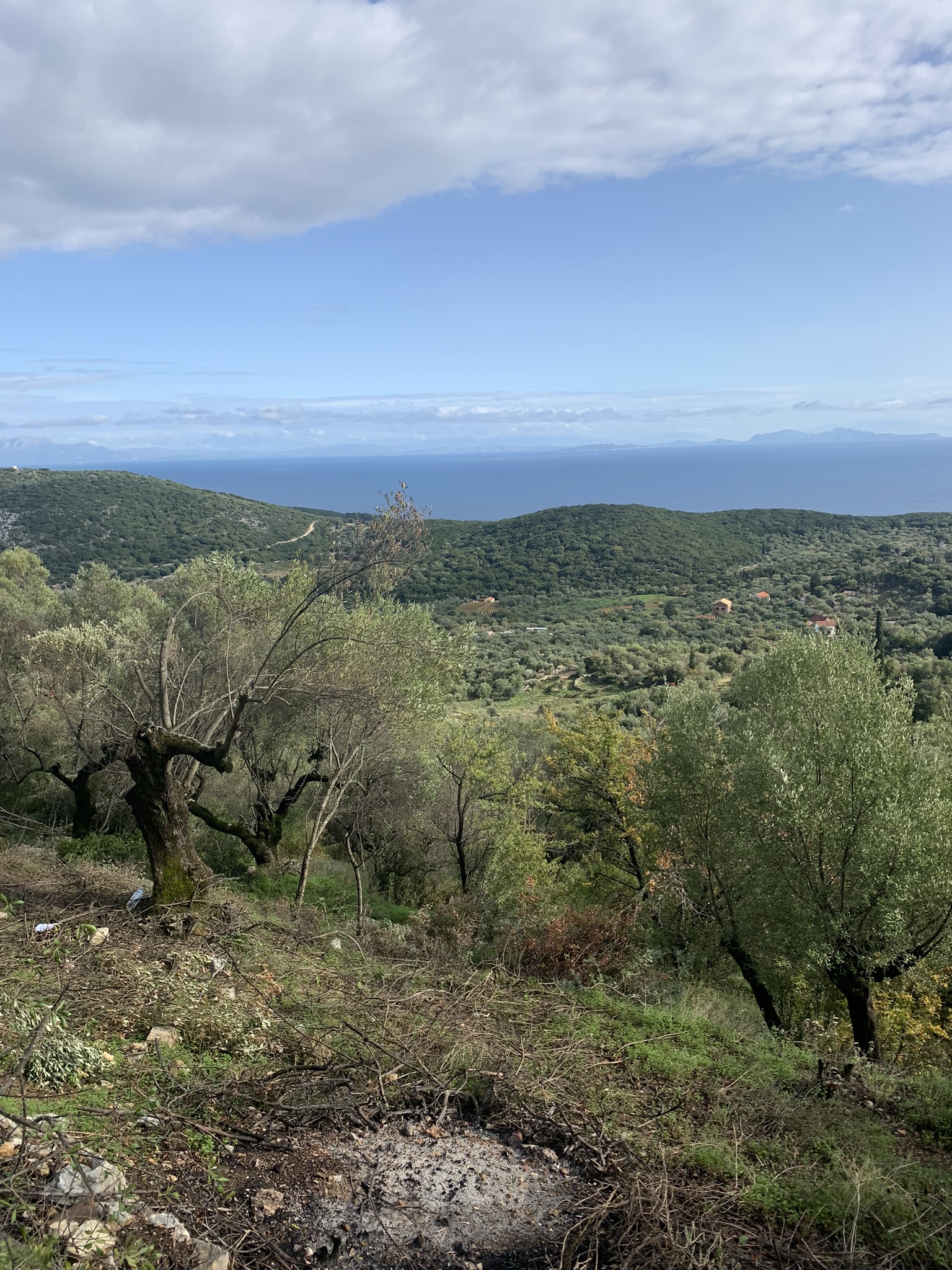 Land for sale on Ithaca Greece, Perachori