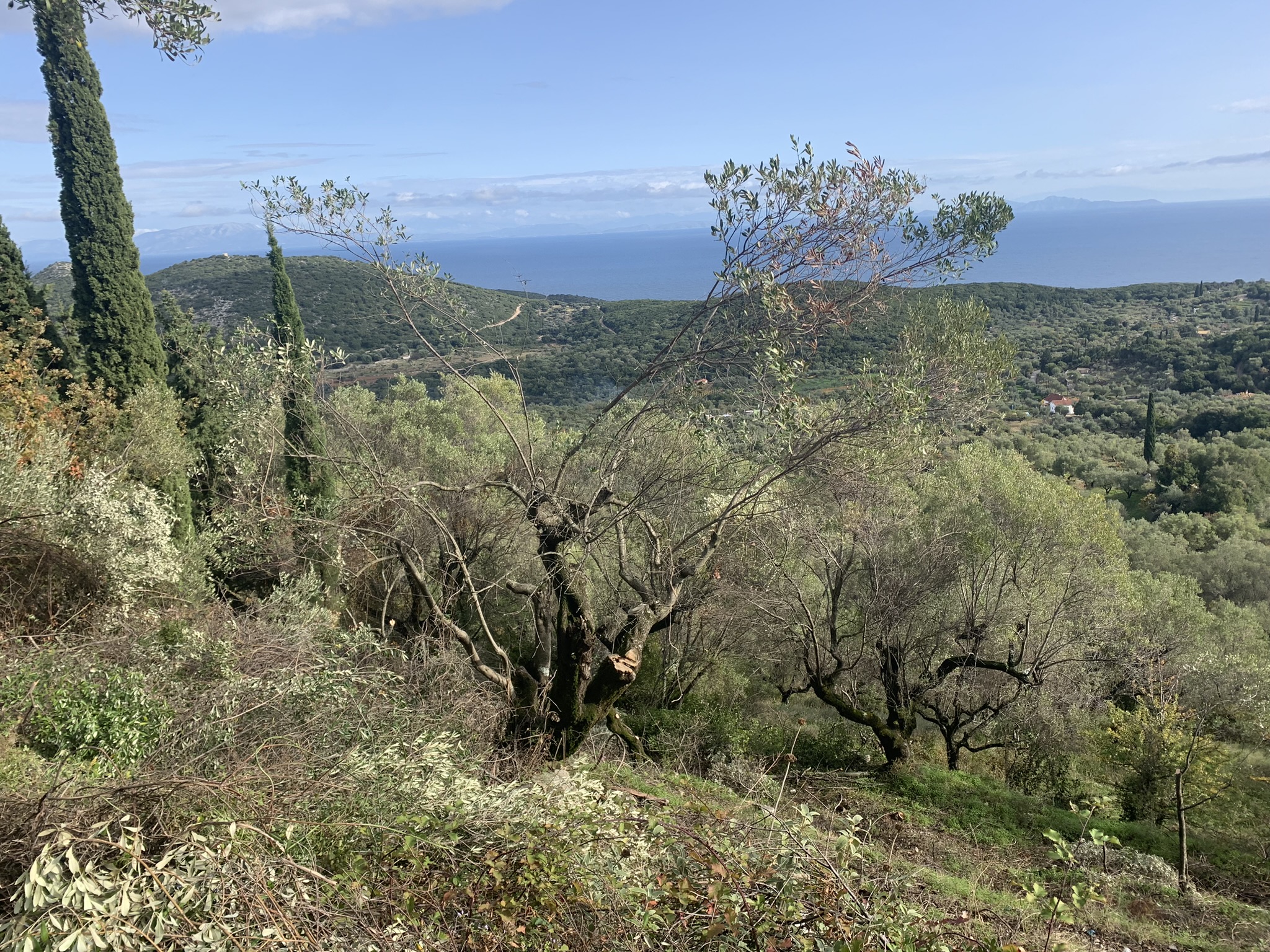 Land for sale on Ithaca Greece, Perachori