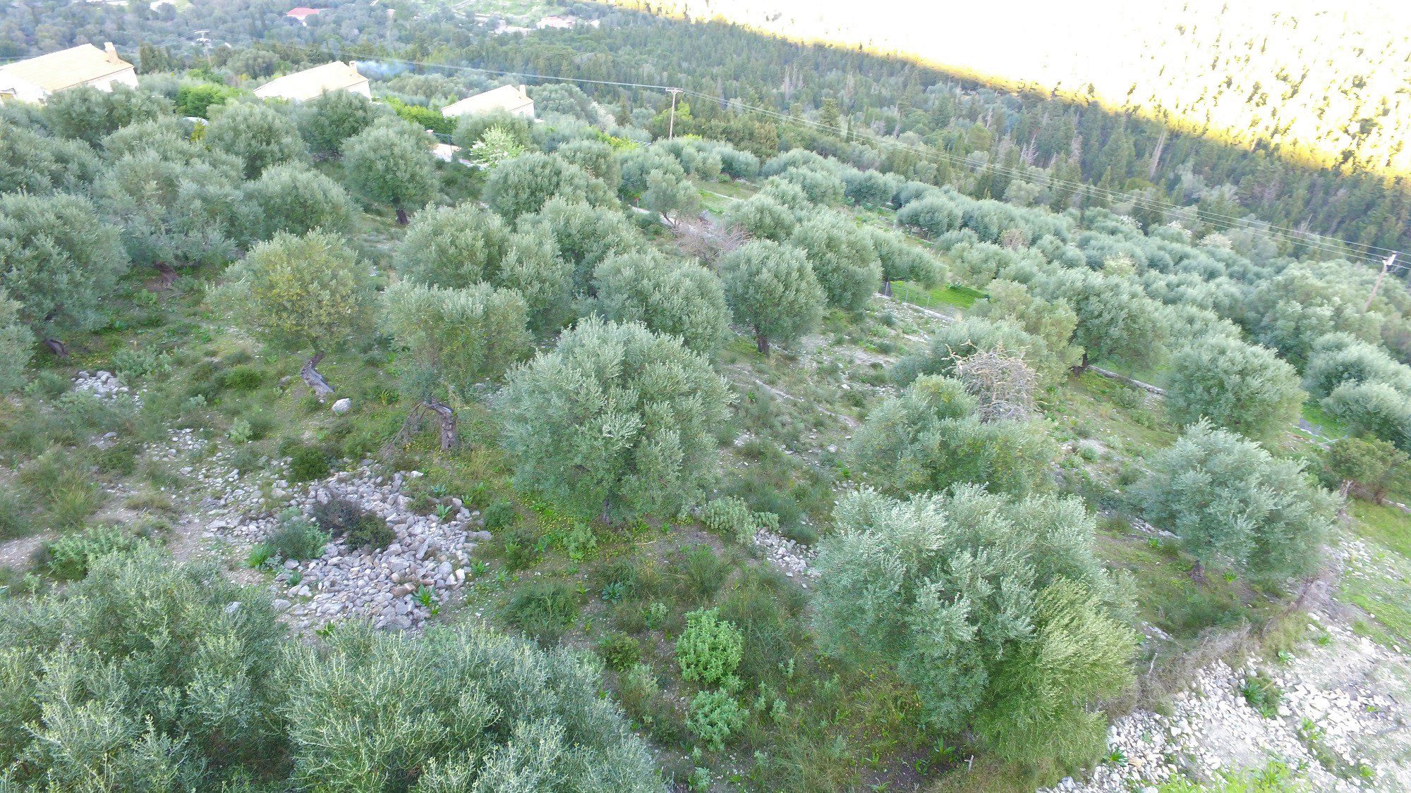 Aerial view of terrain of land for sale Ithaca Greece, Pilikata