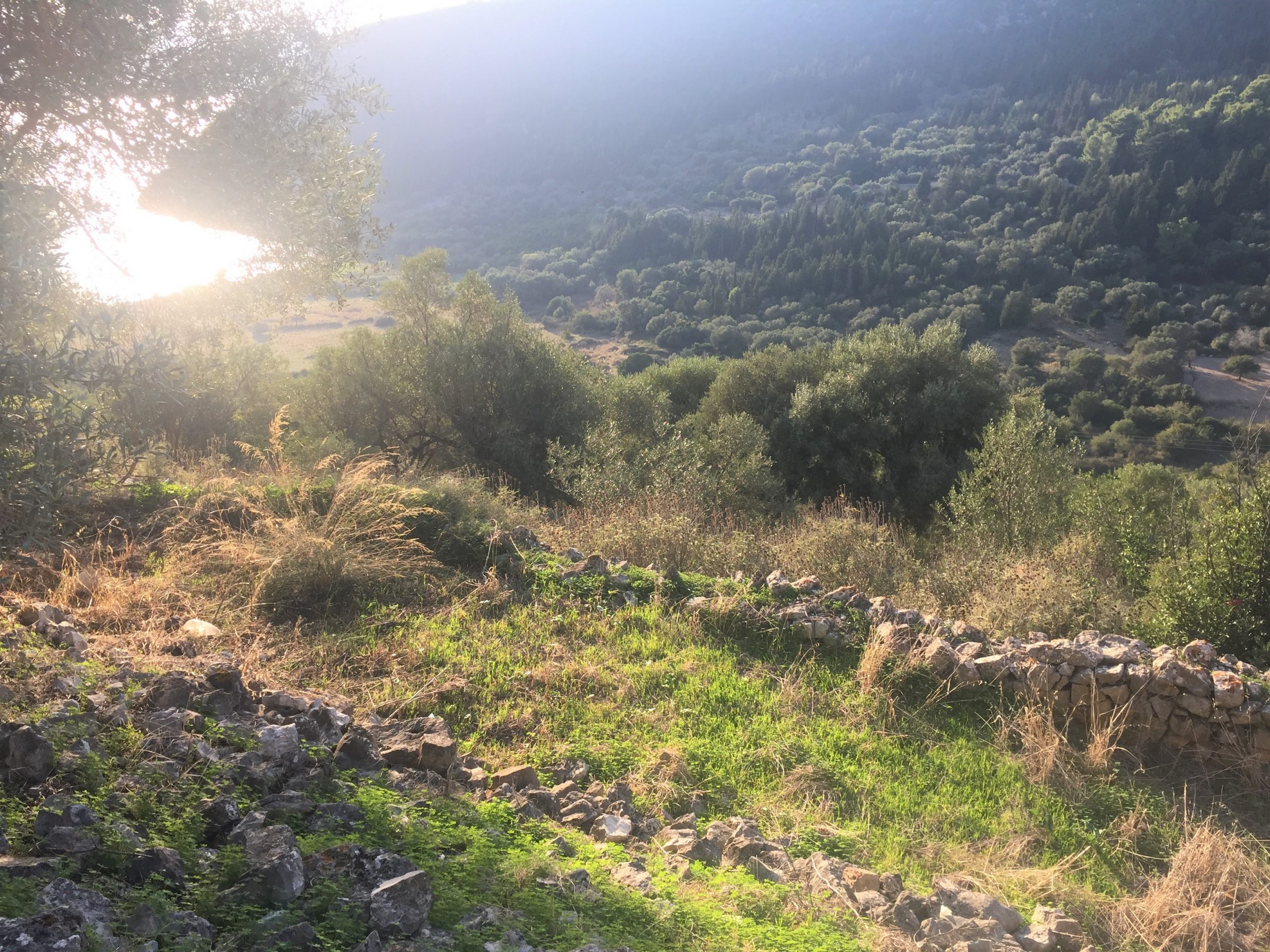 Exterior view of land with house for sale on Ithaca Greece