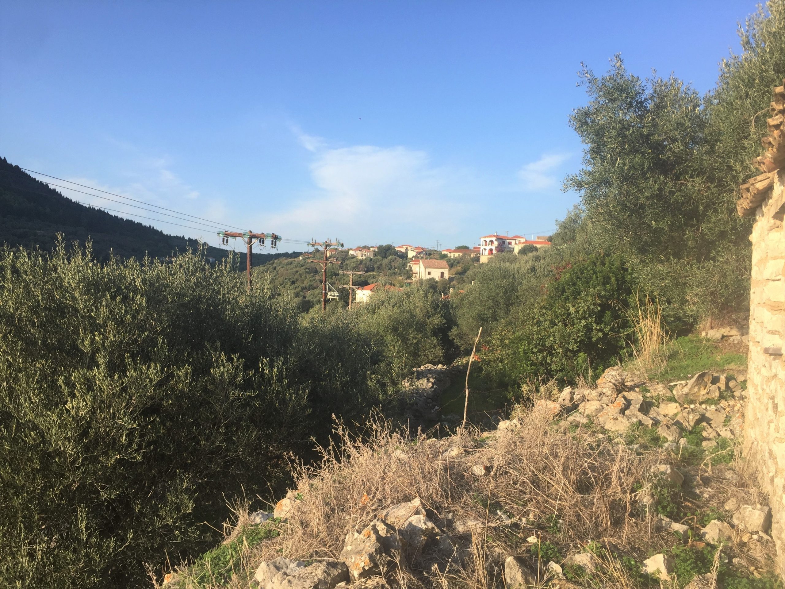 Exterior view of land with house for sale on Ithaca Greece