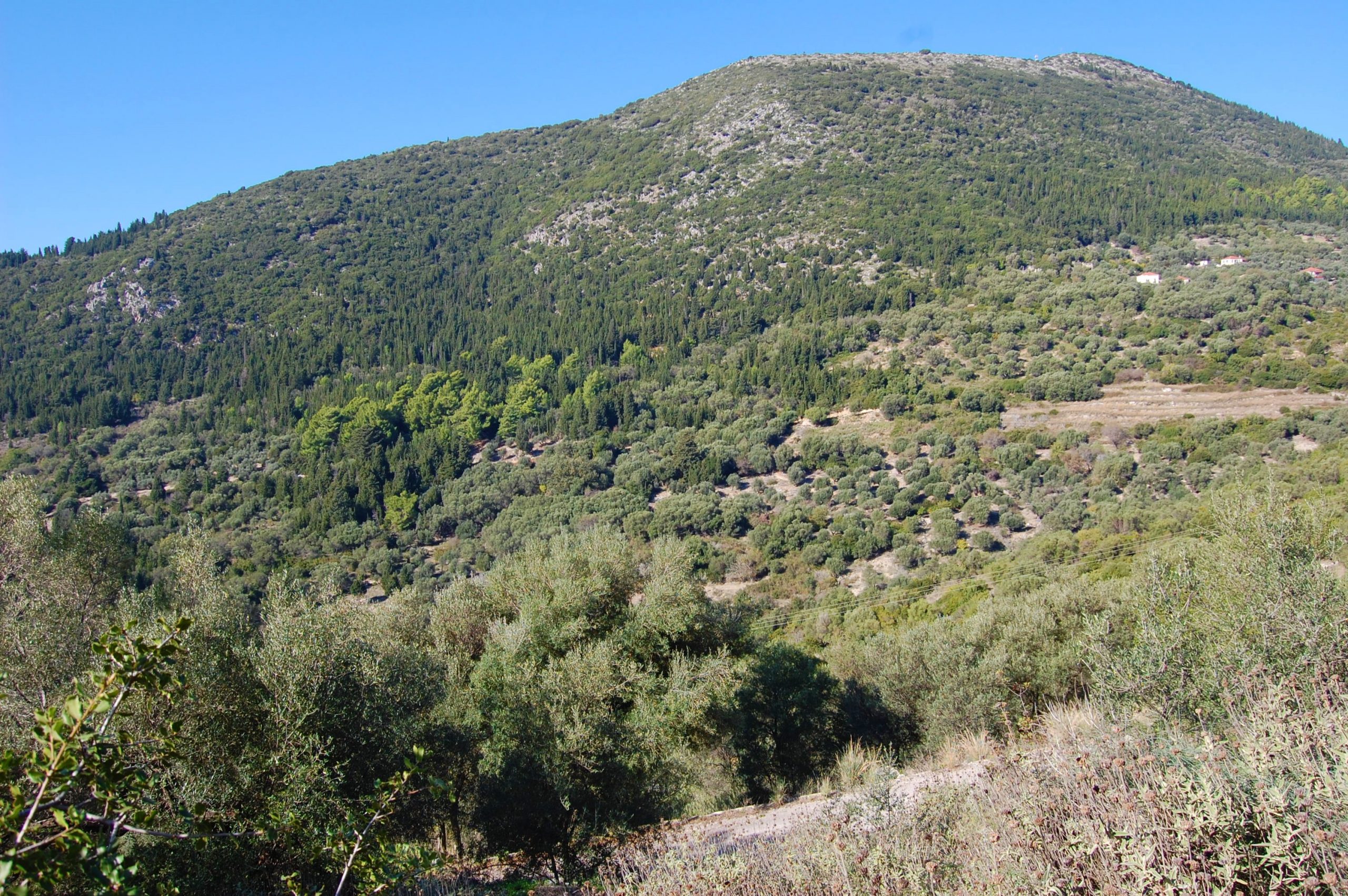 Exterior view of land with house for sale on Ithaca Greece