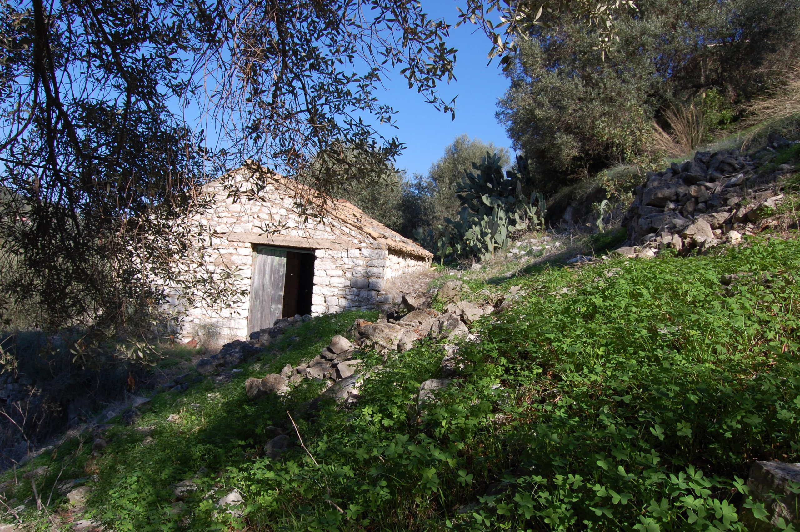 Exterior view of land with house for sale on Ithaca Greece