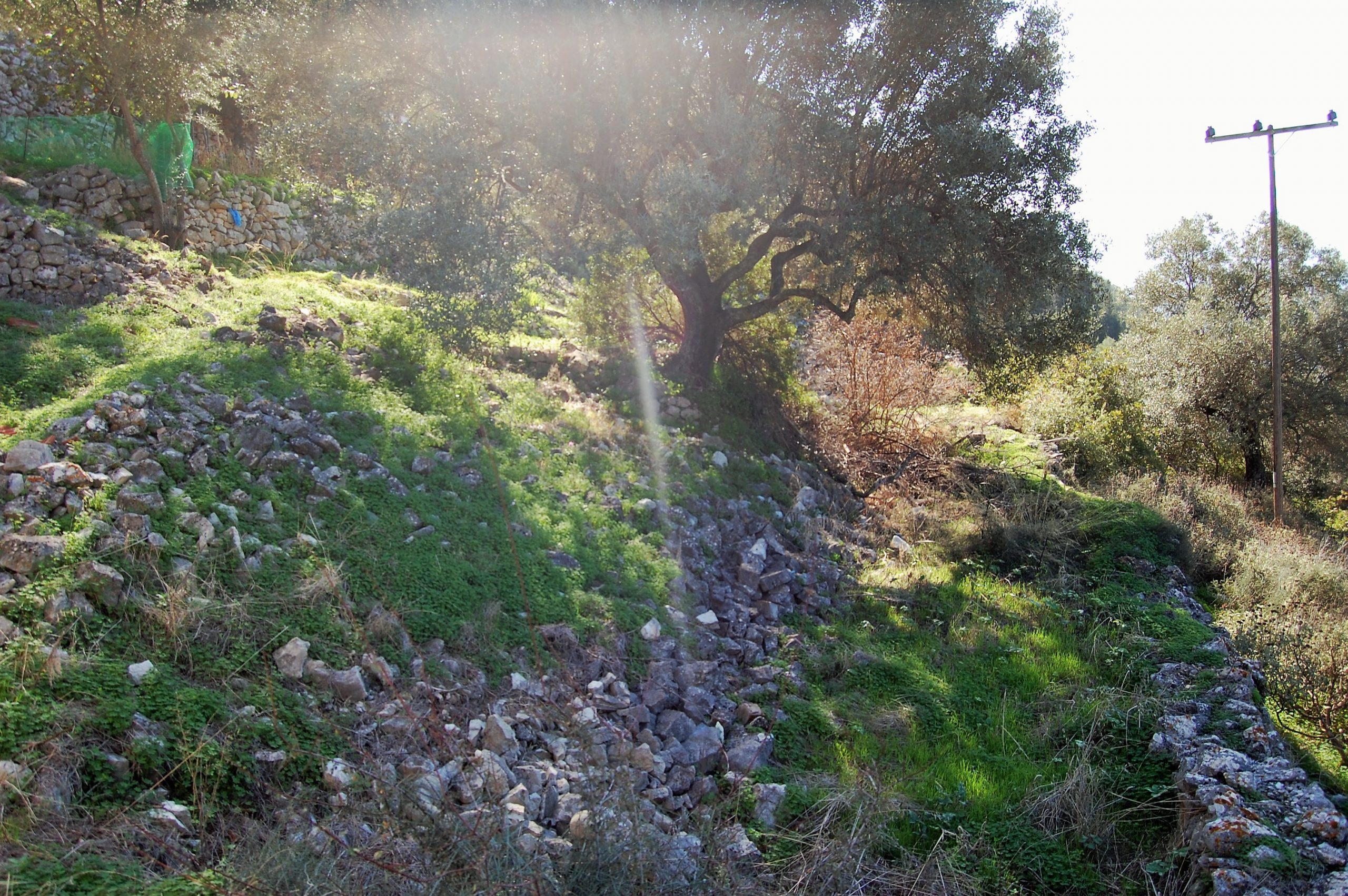 Exterior view of land with house for sale on Ithaca Greece