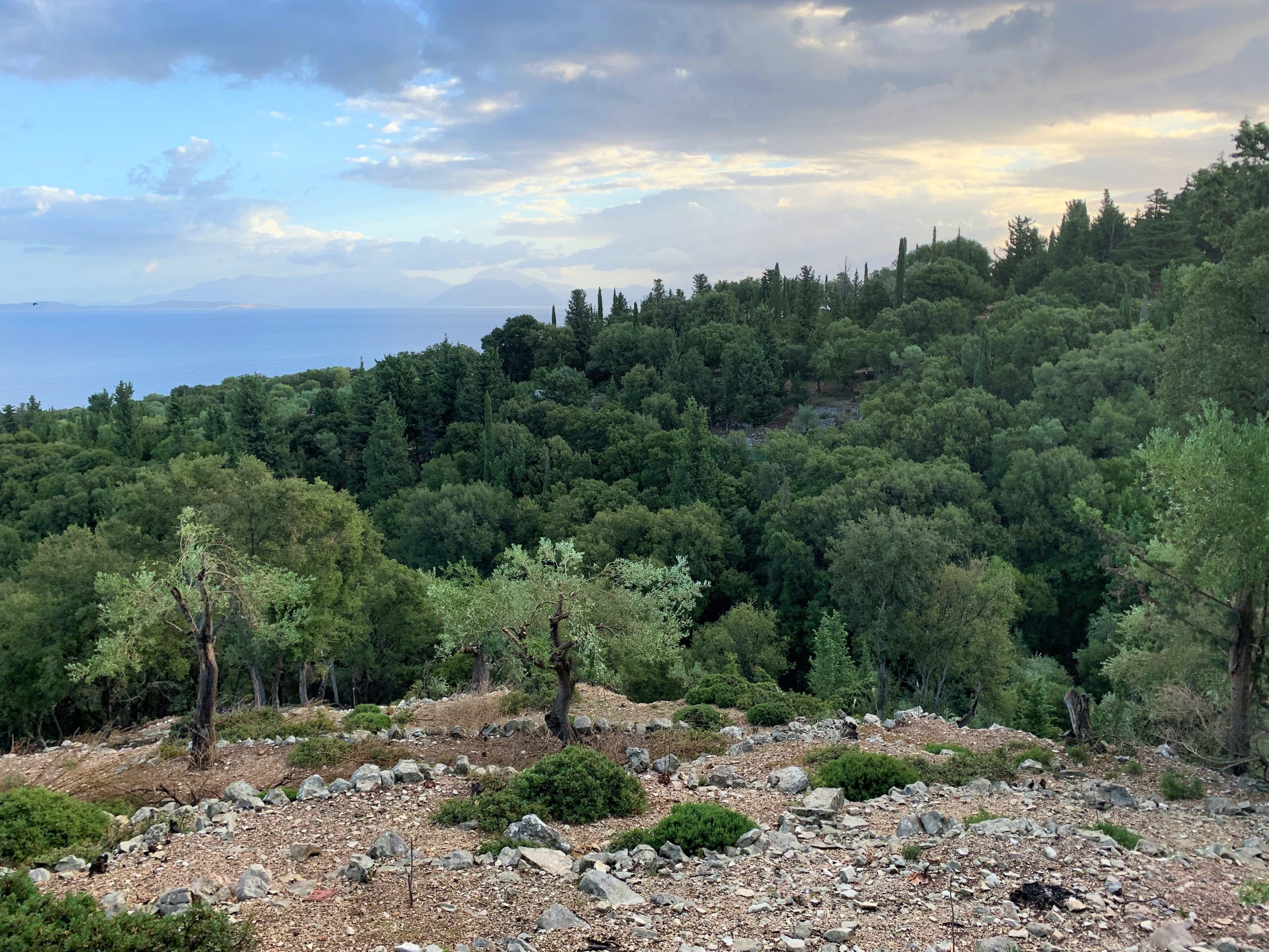 Landscape of terrain of land for sale Ithaca Greece Kioni