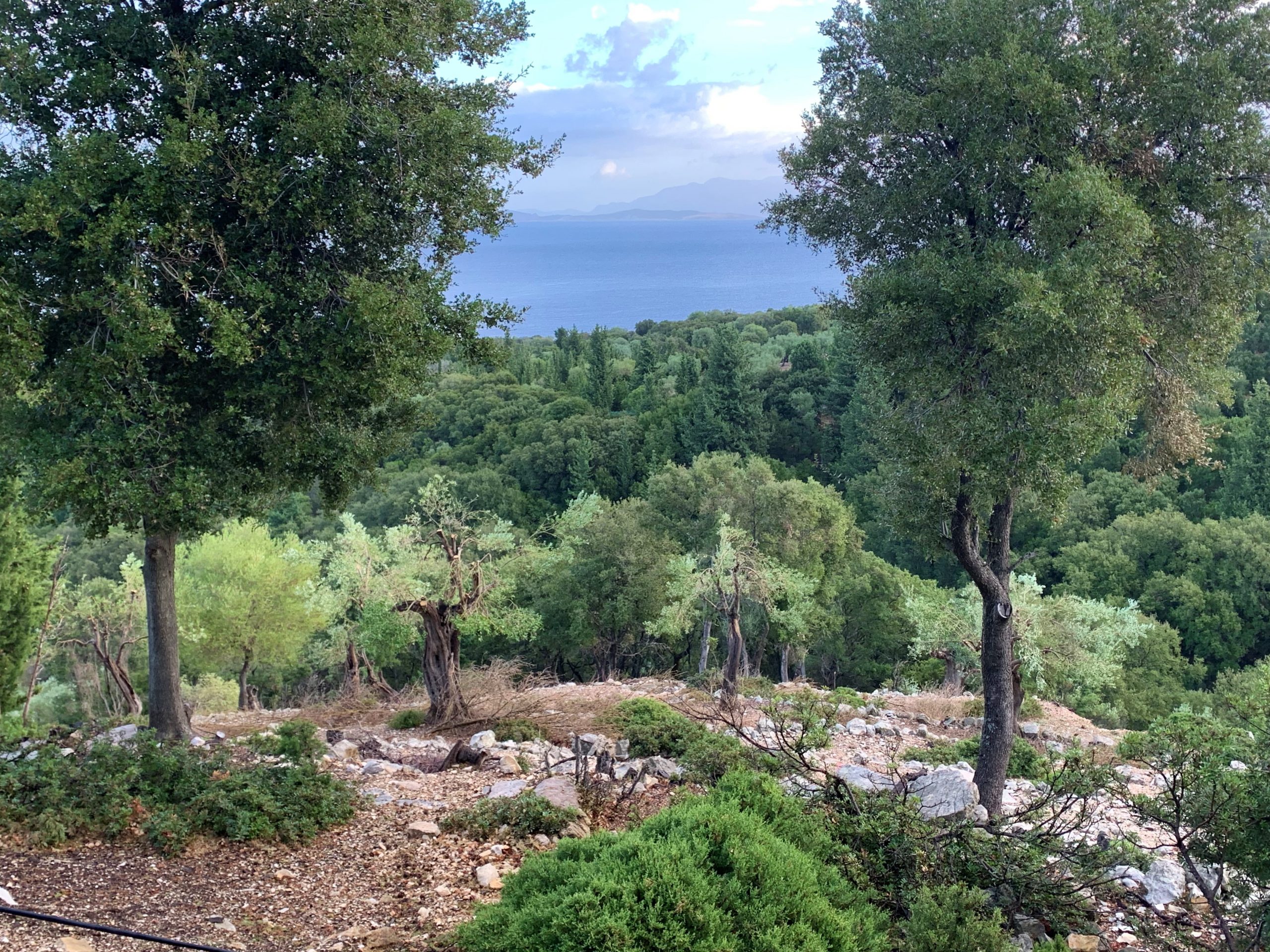Landscape of terrain of land for sale Ithaca Greece Kioni