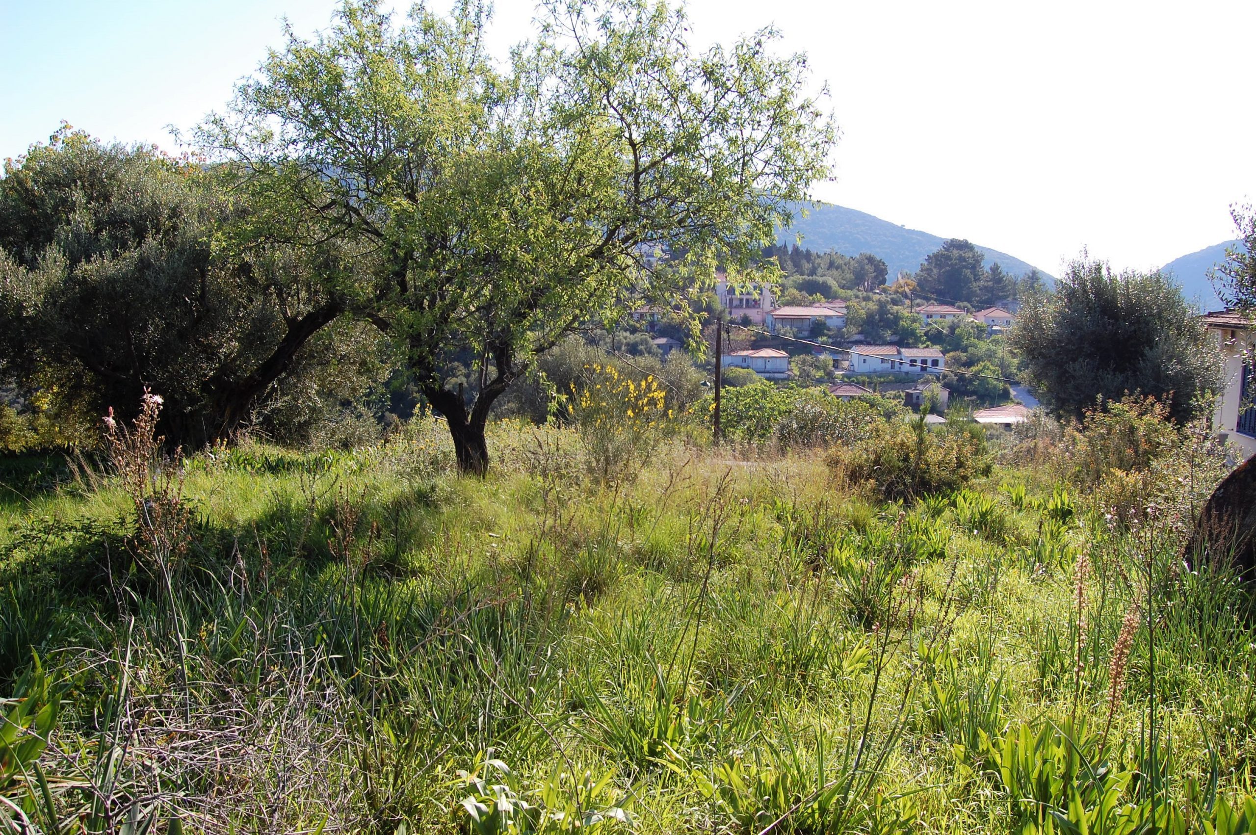 Landscape and terrain of land for sale in Ithaca Greece Kolleri