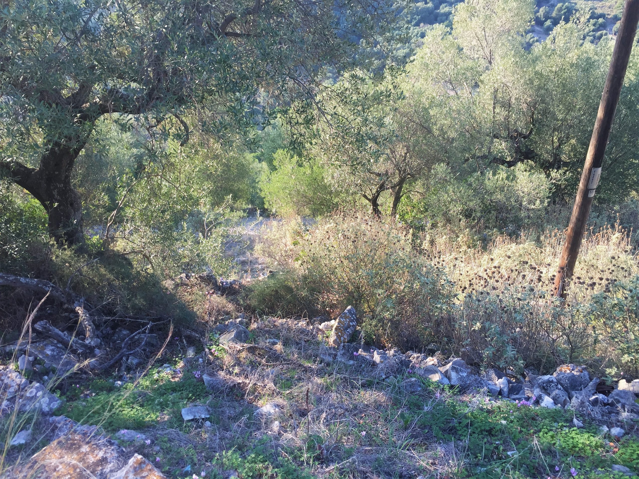 Landscape and terrain of land for sale on Ithaca Greece