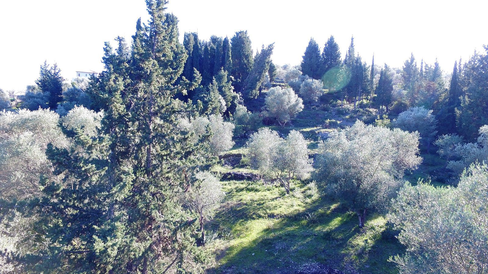 Terrain of land for sale in Ithaca Greece, Lahos