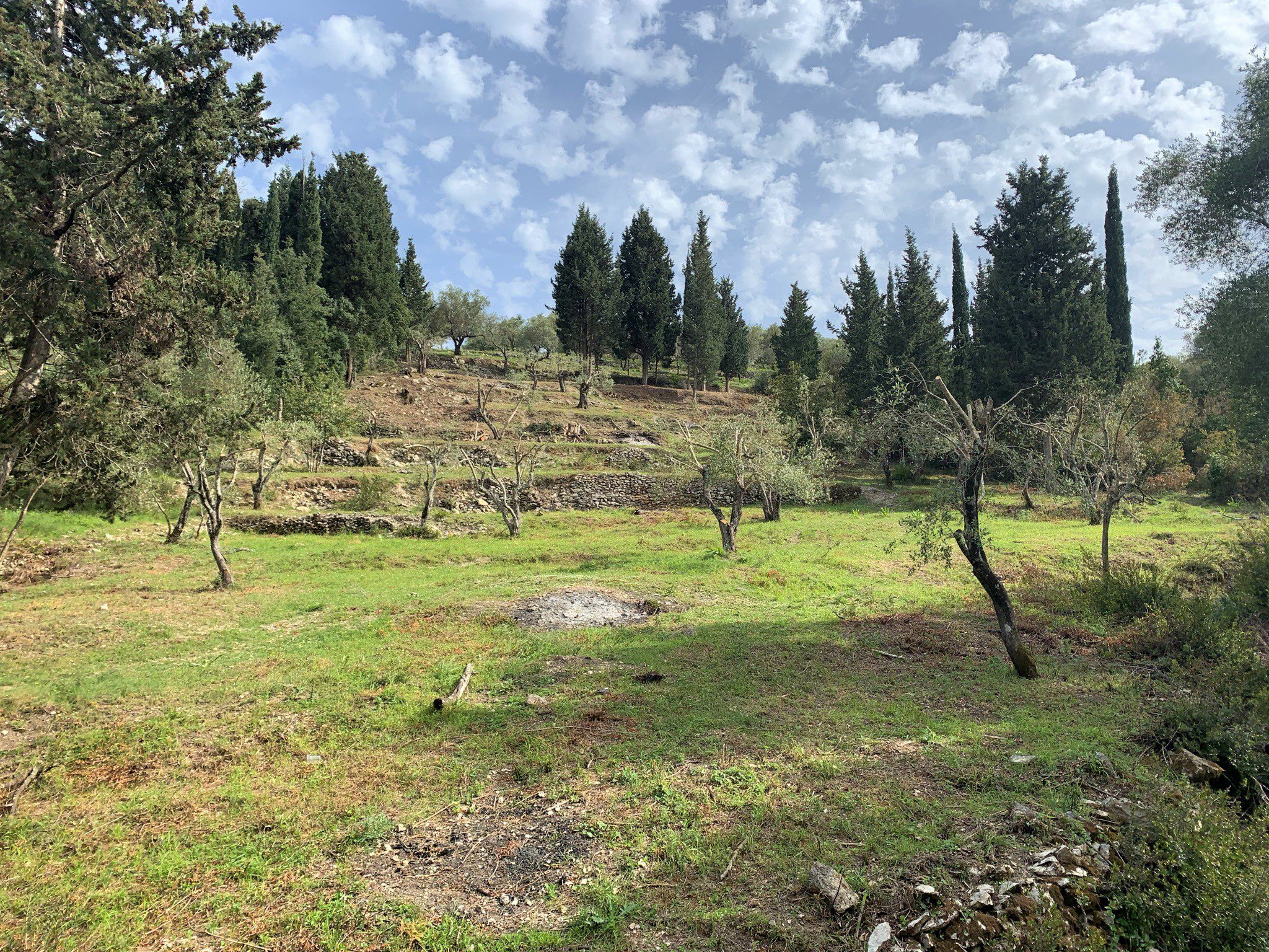 Τοπίο και έδαφος γης προς πώληση στην Ιθάκα Της Ελλάδας, Λαχός