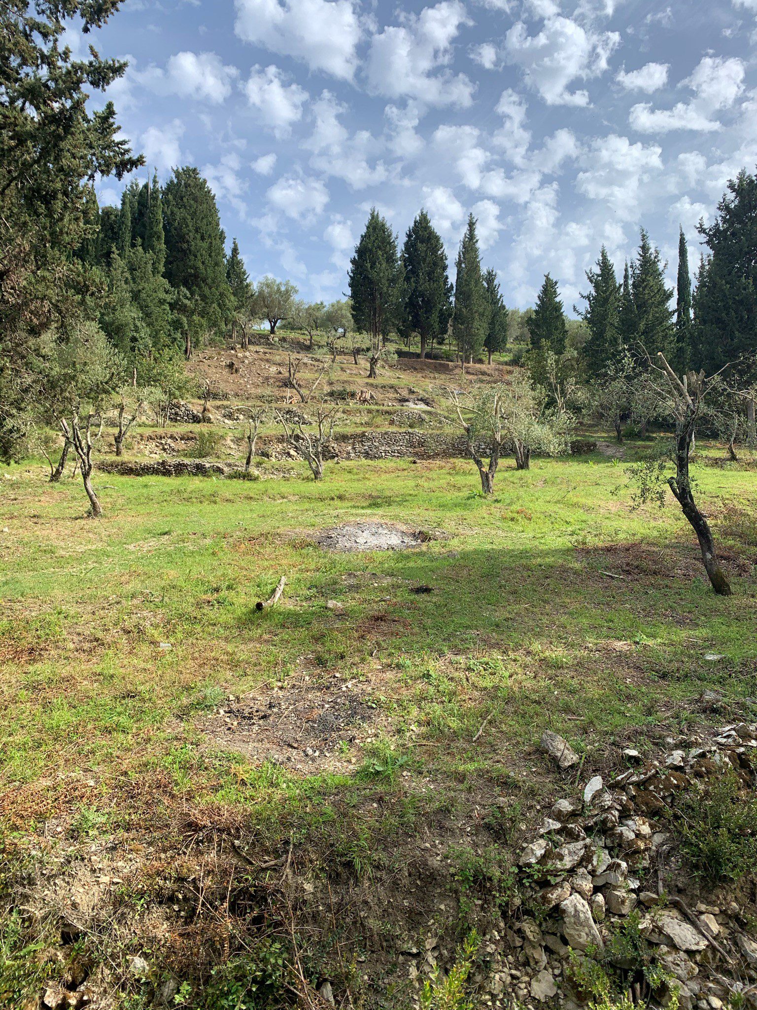 Landscape and terrain of land for sale in Ithaca Greece, Lahos