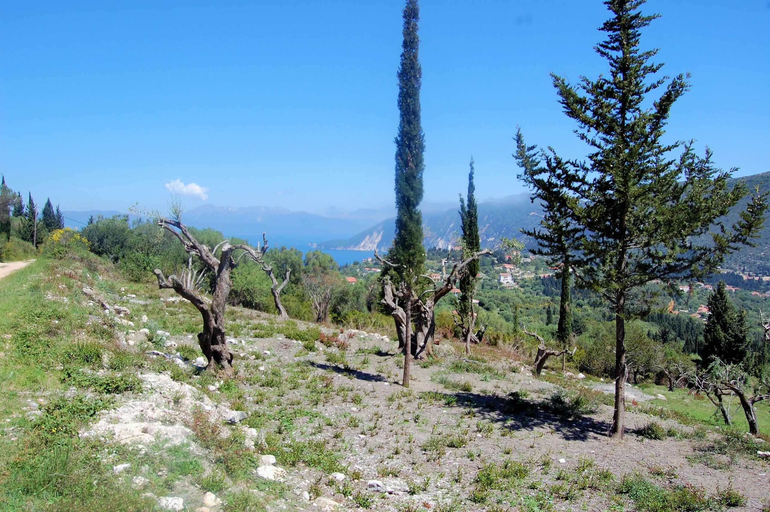 Landscape terrain of land for sale Ithaca Greece, Platrithya