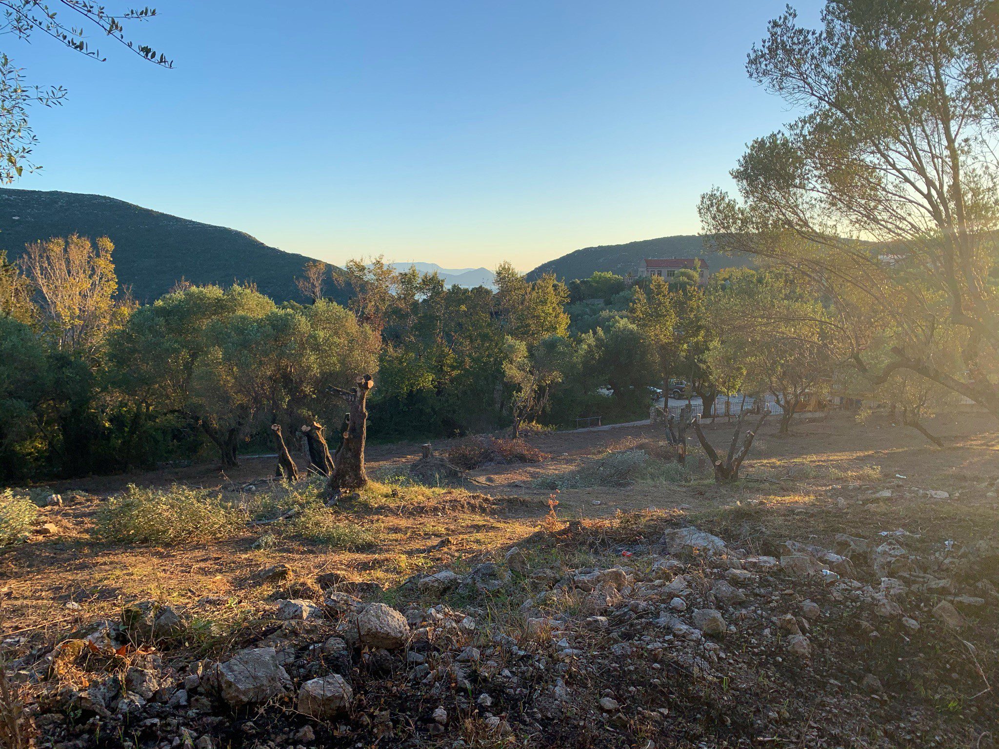 Landscape terrain of land for sale Ithaca Greece Platrithya