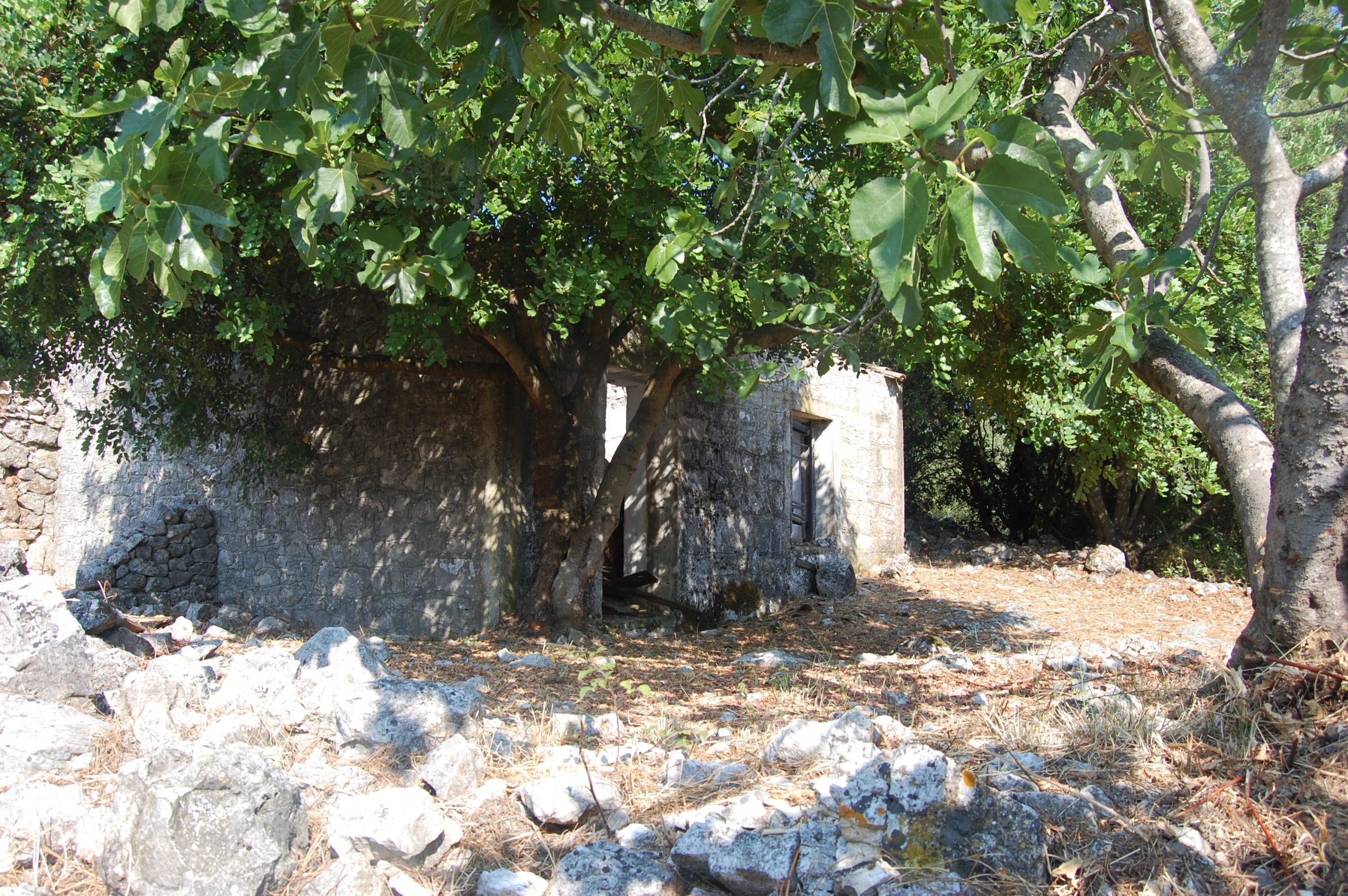 Εξωτερική άποψη των ερειπίων και του σπιτιού προς πώληση στην Ιθάκη Ελλάδα
