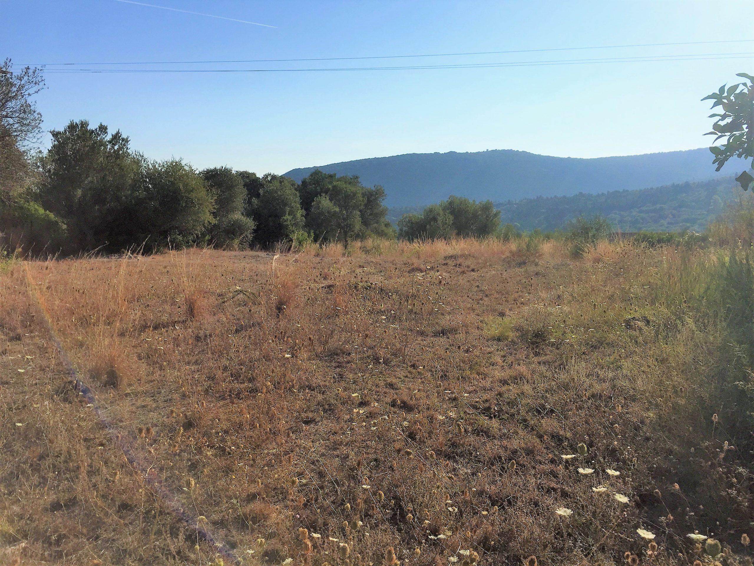 Landscape and terrain of land for sale in Ithaca Greece Stavros
