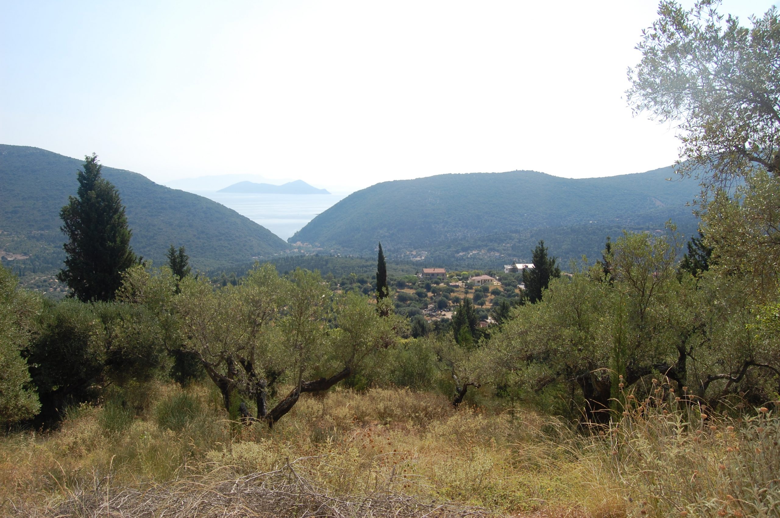 Exterior view of house and land for sale on Ithaca Greece