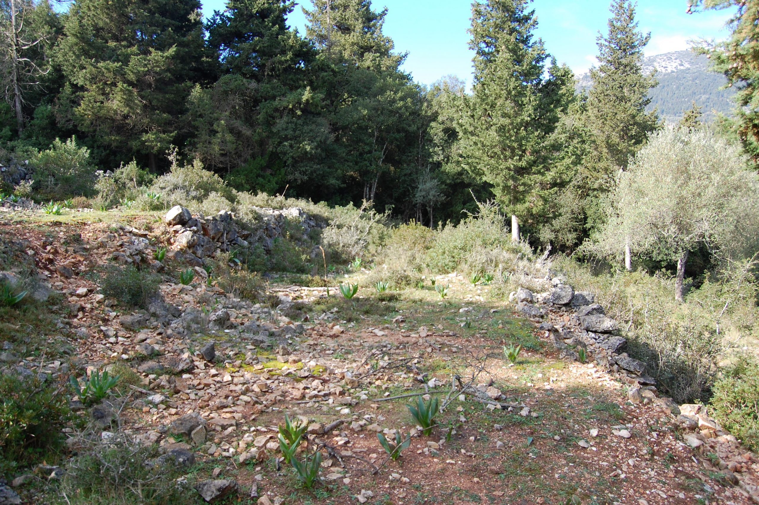Terrain and landscape of land for sale in Ithaca Greece