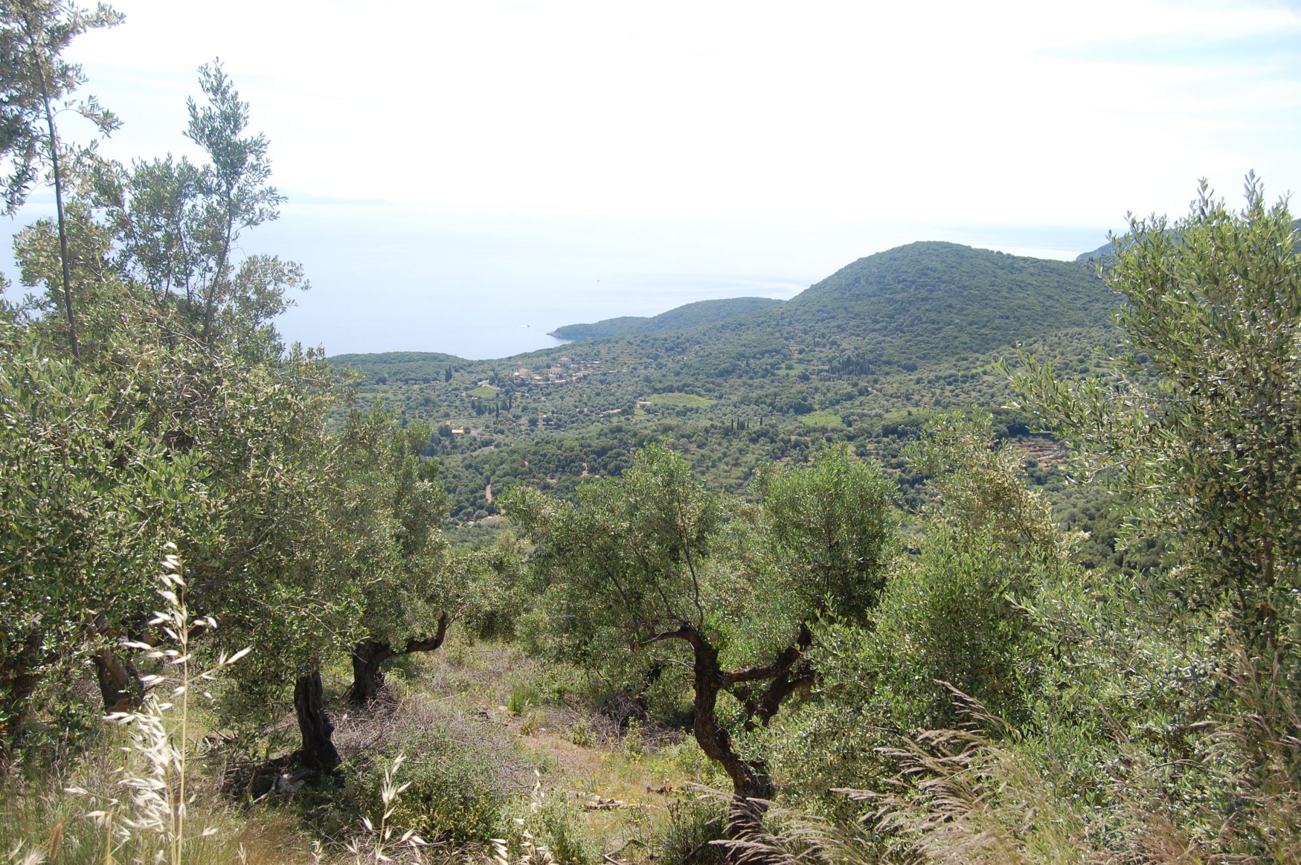 Exterior view of land for sale Ithaca Greece