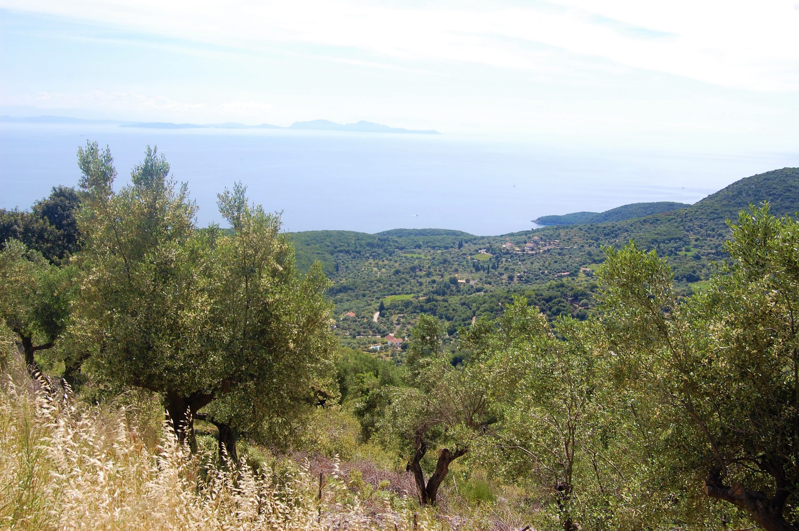 Exterior view of land for sale Ithaca Greece