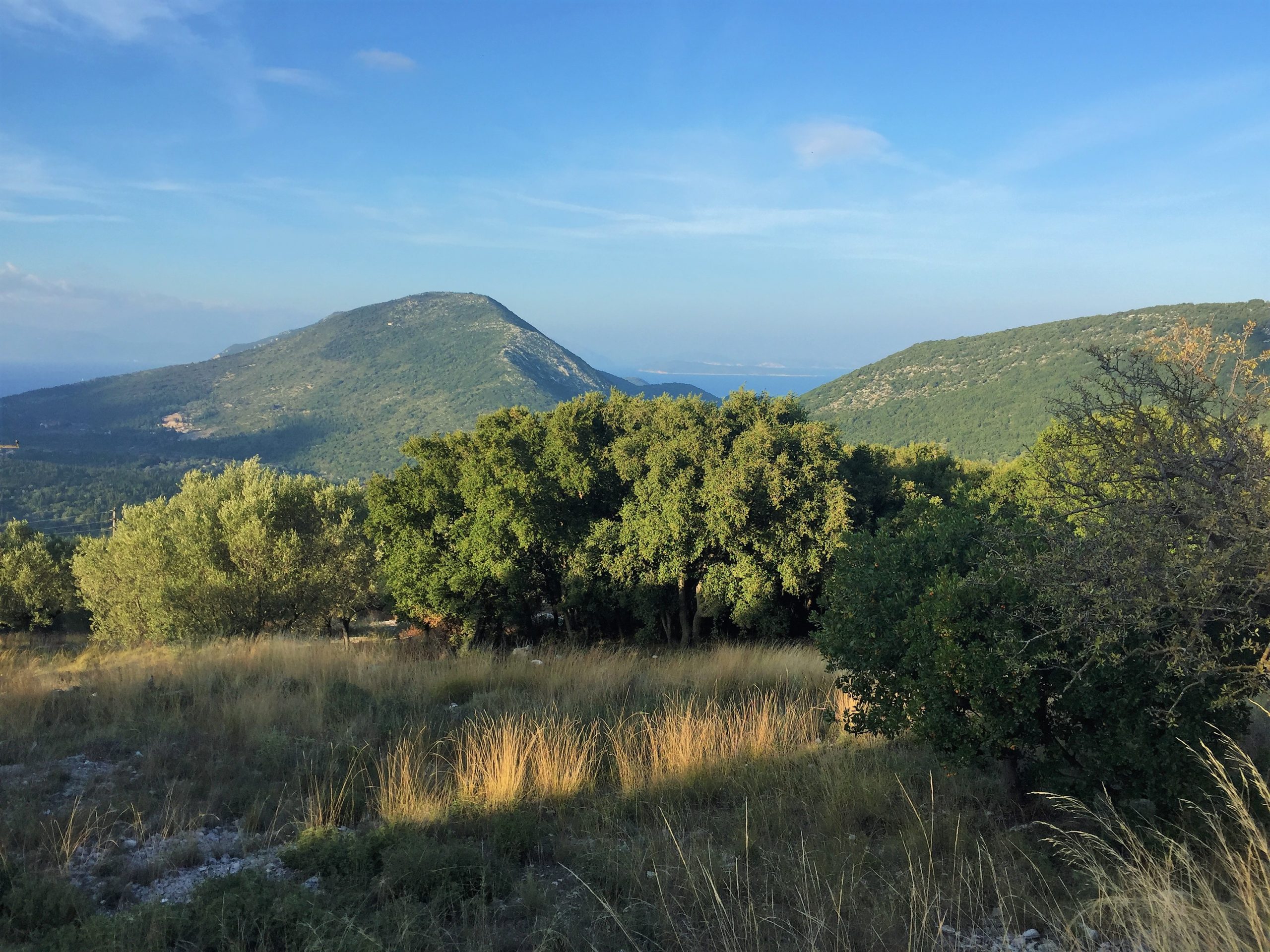 Terrain of land for sale in Ithaca Greece Stavros