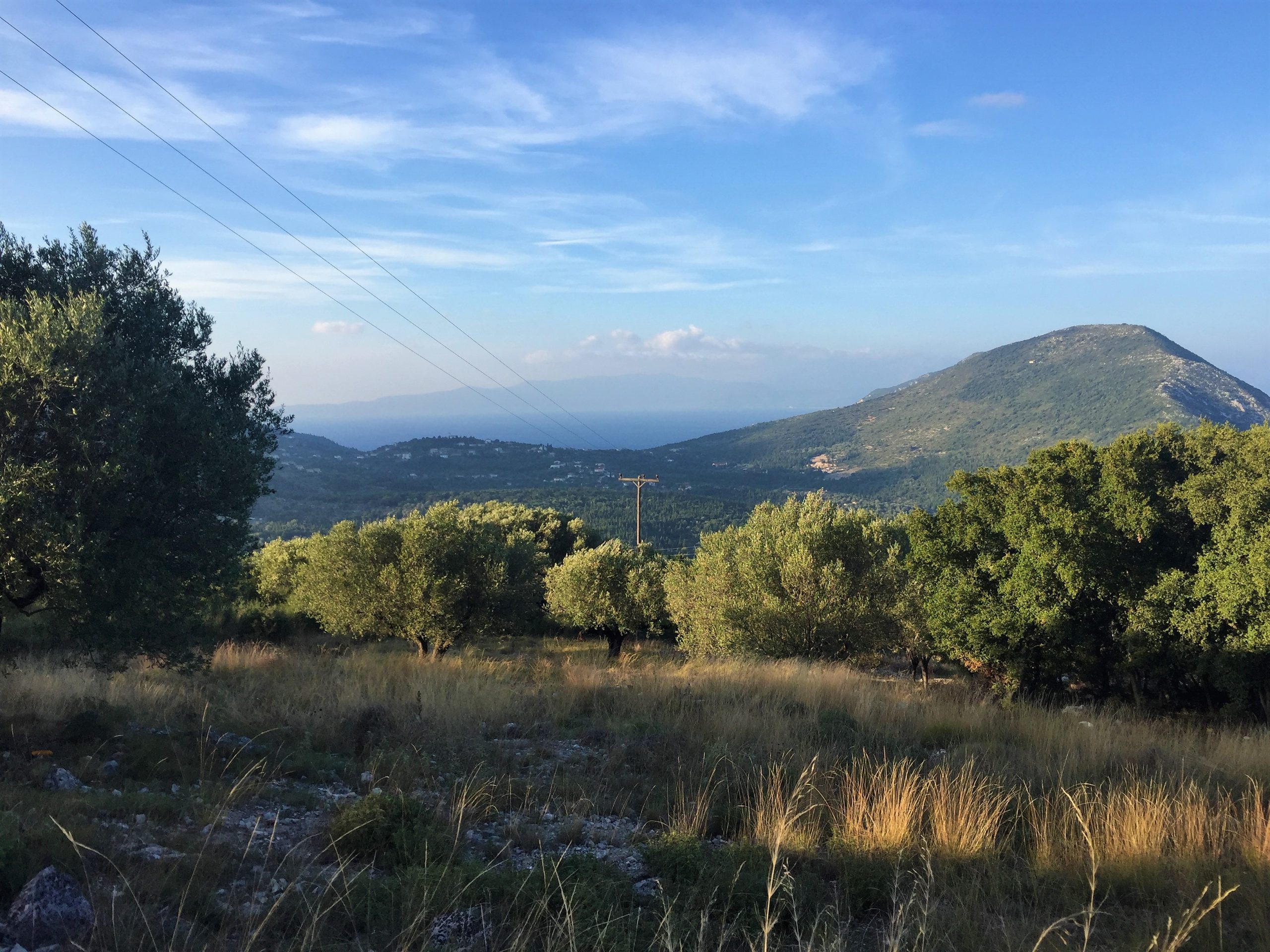 Terrain of land for sale in Ithaca Greece Stavros