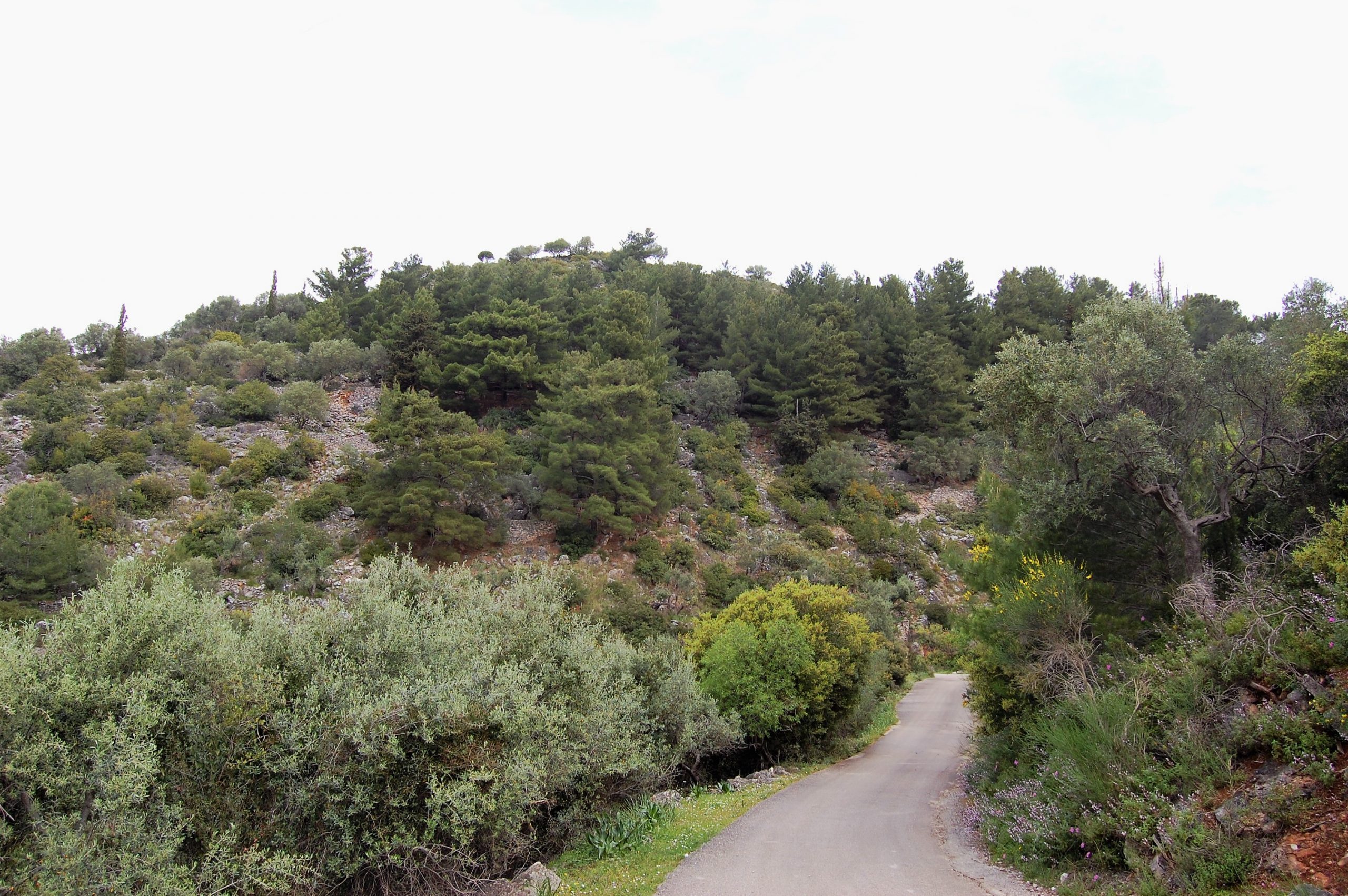 Terrain and landscape of land for sale in Ithaca Greece